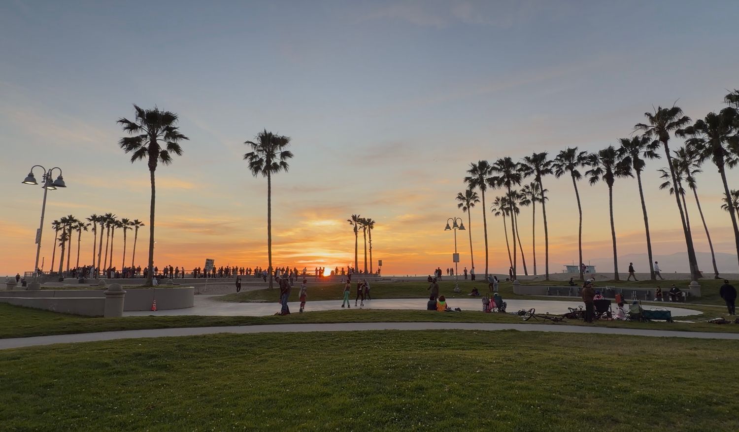 Panoramic view of palm trees silhouetted against a vibrant orange and pink sunset sky along the beach.