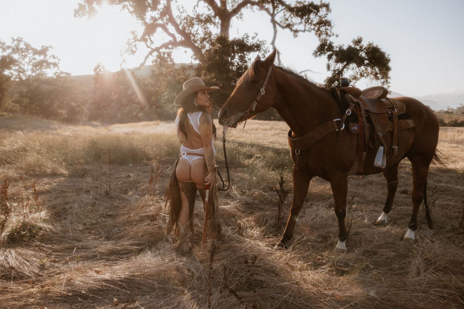 Brown horse with riding gear stands in a golden sunlit field at sunset.
