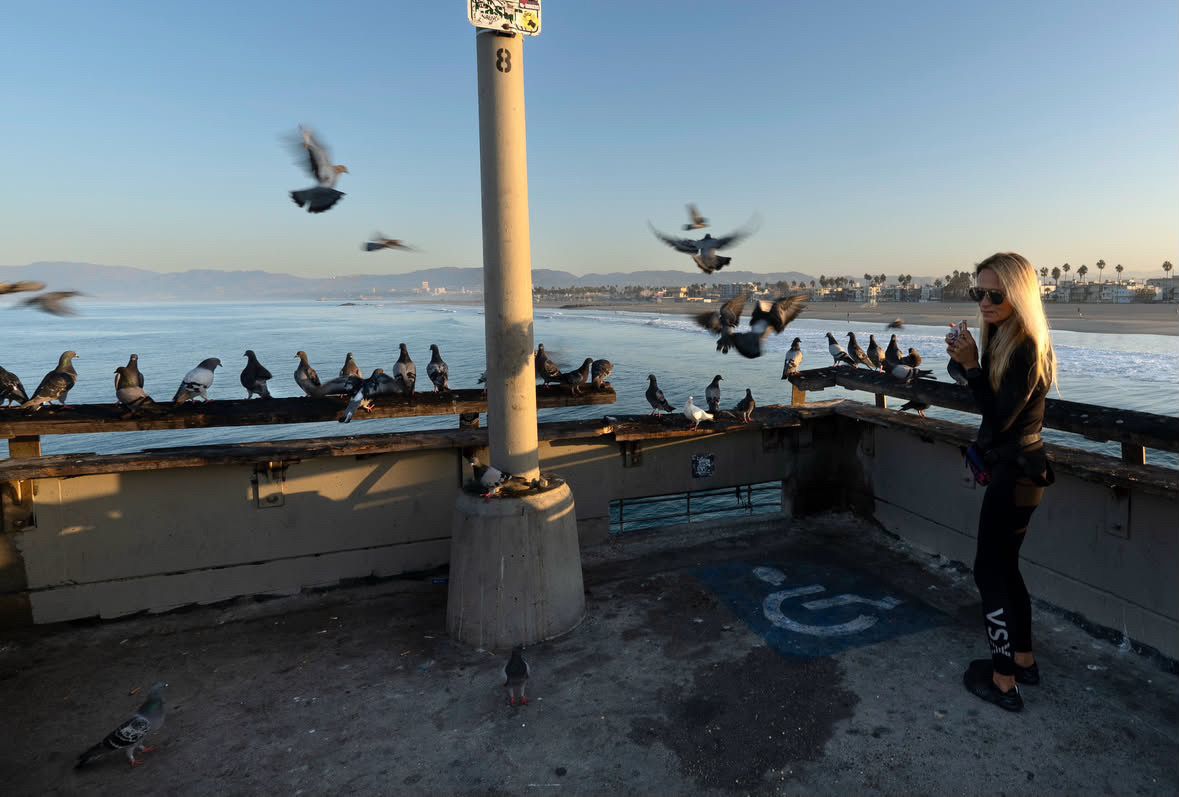Woman feeding pigeons on a seaside pier at sunset with ocean views and a wheelchair accessible ramp.
