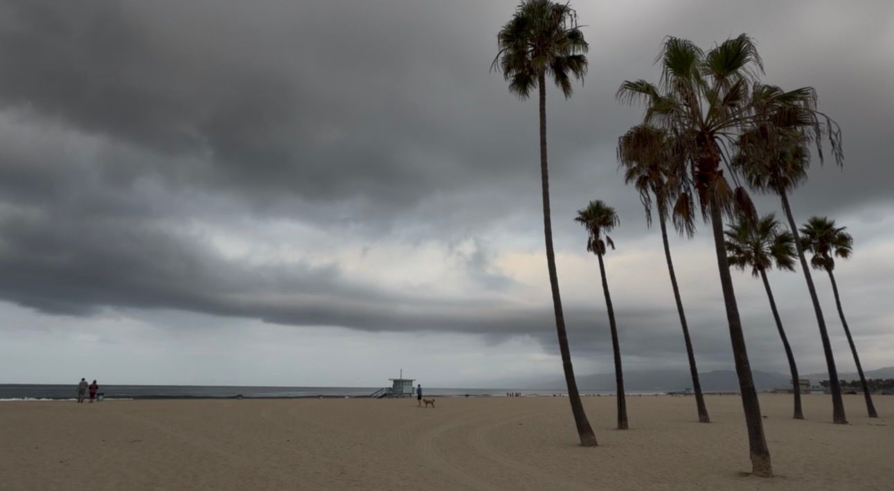 Storm clouds over Venice Beach with tall palm trees and a lifeguard tower on sandy shore in Los Angeles, CA.