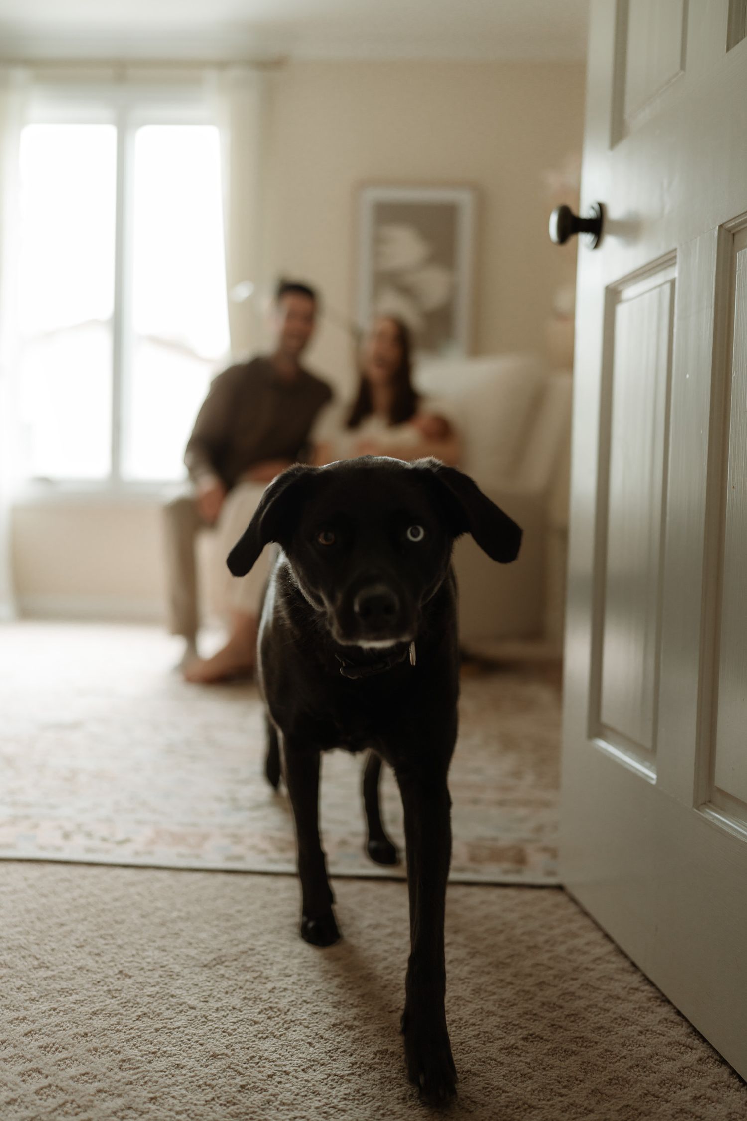 A couple sits on a nursery floor with their newborn and black Labrador dog in front of a wooden crib.