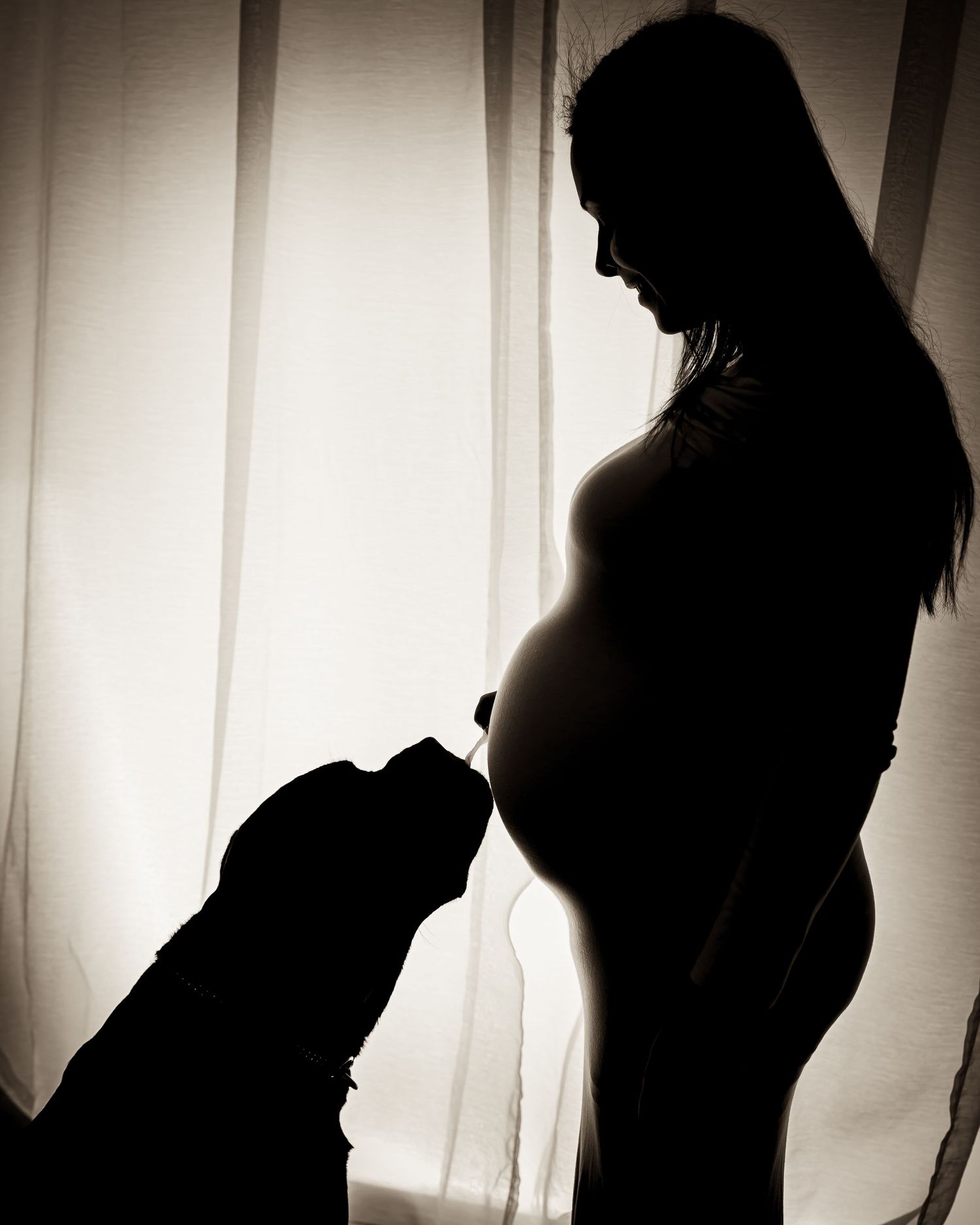 A silhouetted pregnant woman stands by a window as a dog gently investigates her baby bump, creating a tender black and white scene.