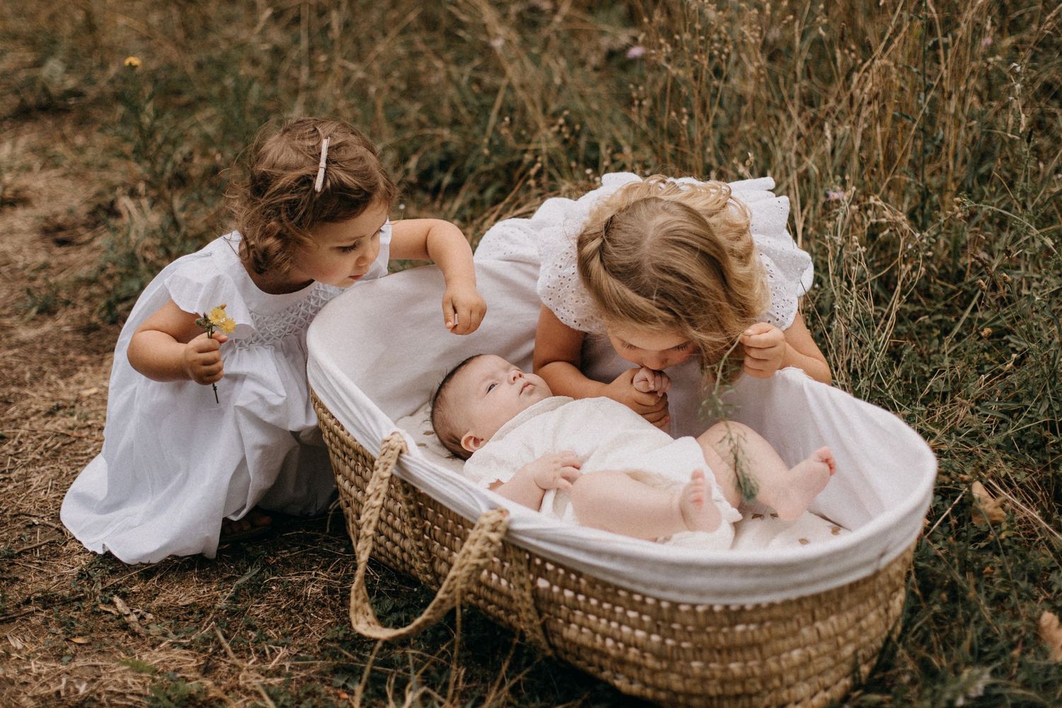 Children looking into woven basket on grassy ground during summer.