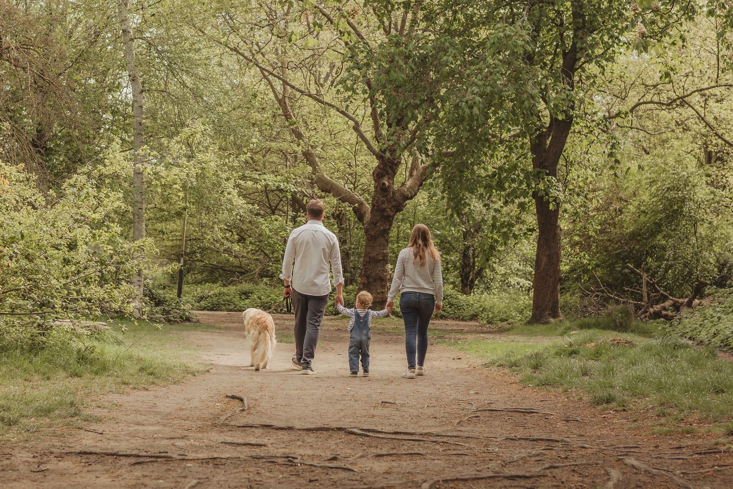 Family walking together on a tree-lined nature path in warm sunlight.
