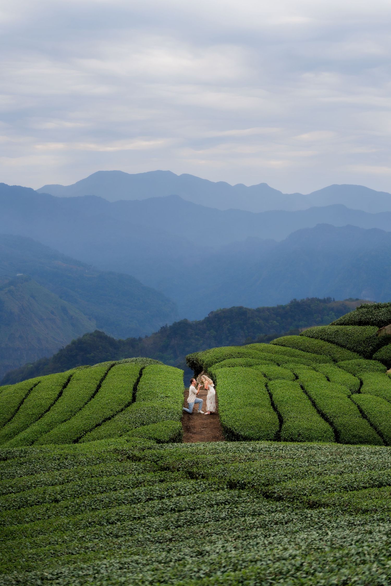 Couple walking through lush green tea plantation rows with misty blue mountain layers in the background.