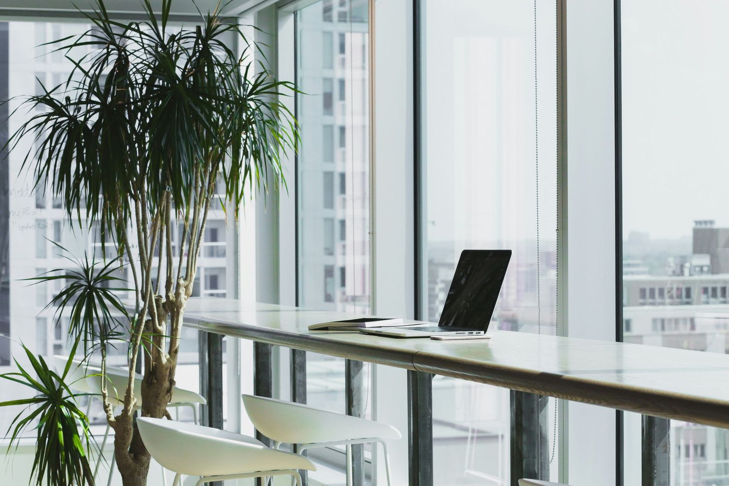 Modern office space with floor-to-ceiling windows, sleek desks, potted palm trees, and ergonomic chairs in a bright setting.