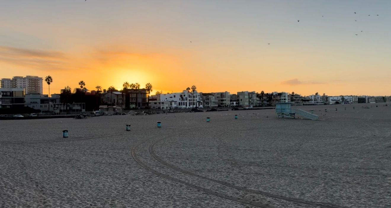 Golden sunset over Venice Beach with sandy shore, palm trees, and colorful beachfront buildings under a vibrant orange sky.