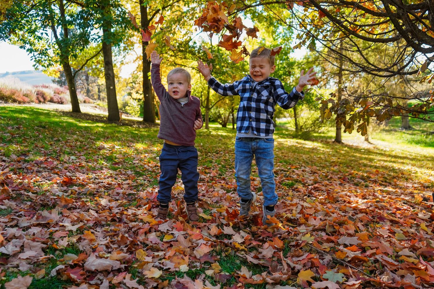 Two children play in a pile of colorful autumn leaves on a sunny fall day in the park.