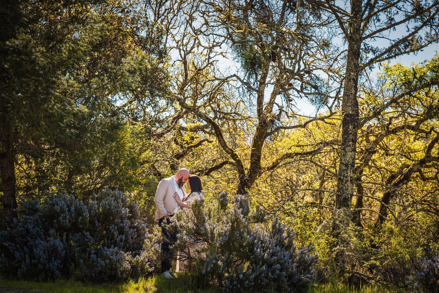 Couple embraces during a golden hour photoshoot in a sunlit wooded area with autumn trees.