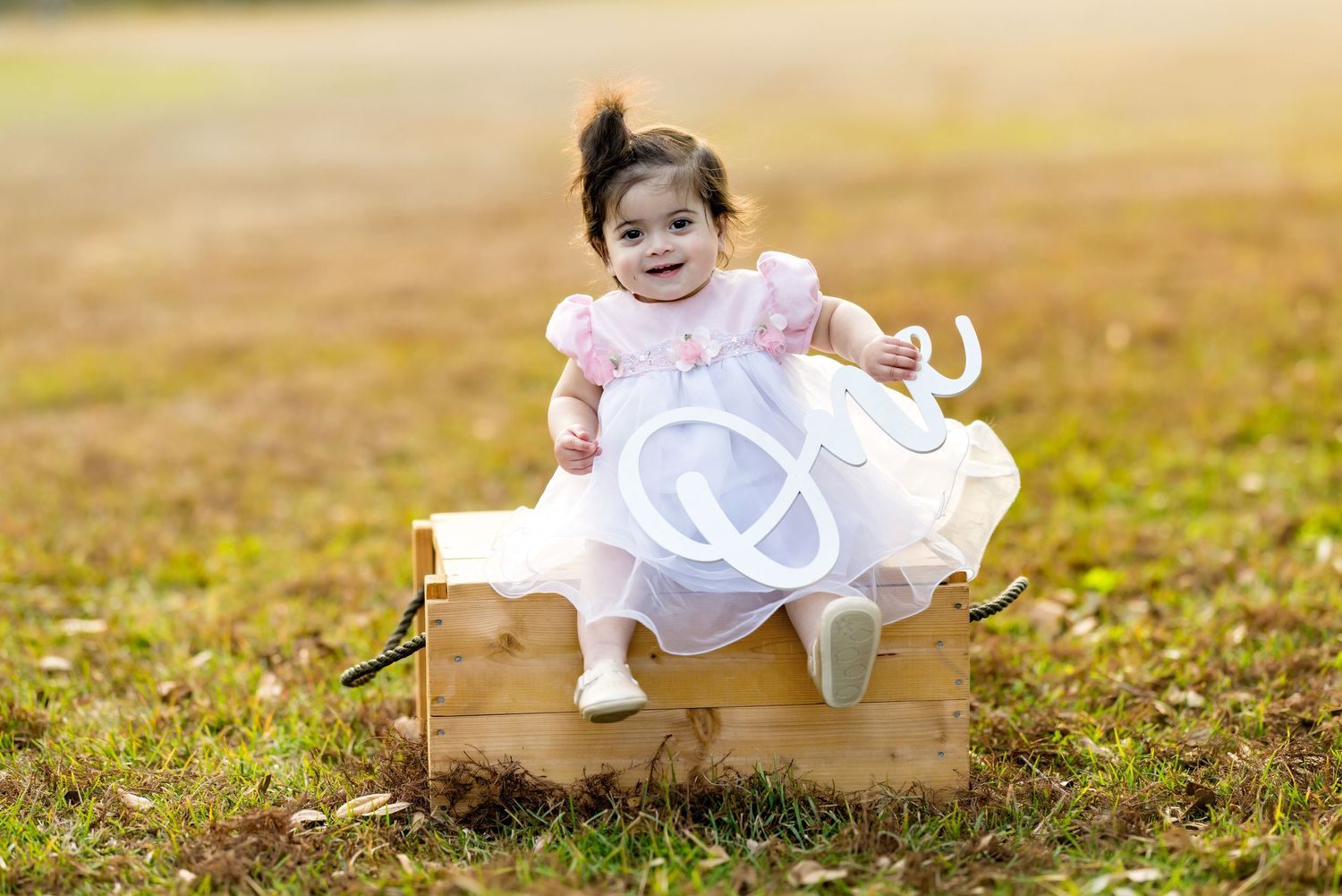 Smiling baby girl in pink dress sitting in wooden crate outdoors on green grass in warm sunlight.
