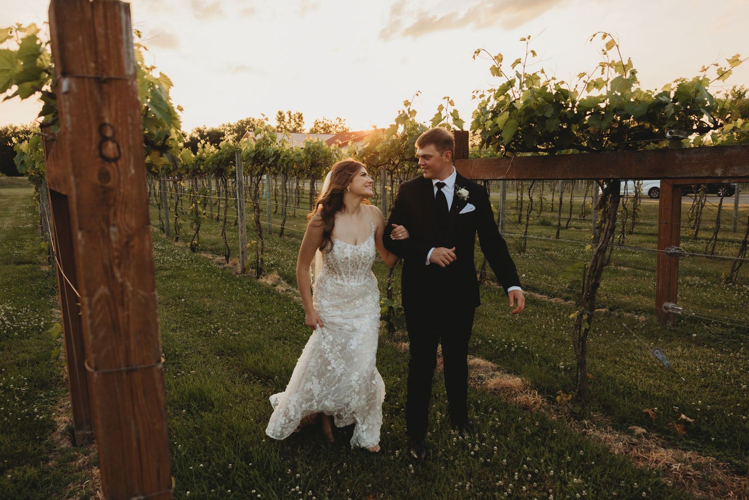 Bride and groom walking hand in hand through a vineyard at golden hour sunset on their wedding day.