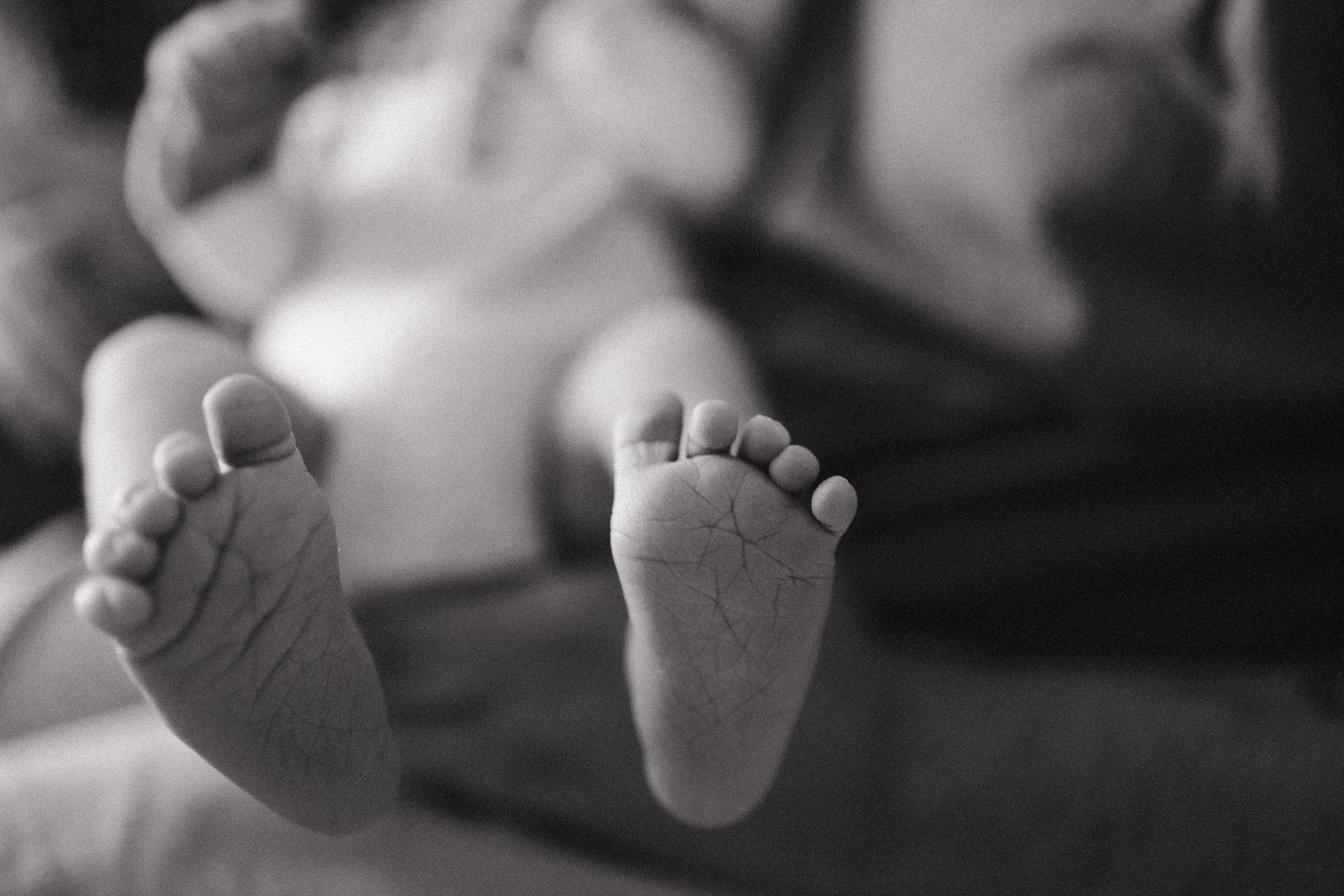 Close-up black and white photograph of tiny newborn baby feet in a row.
