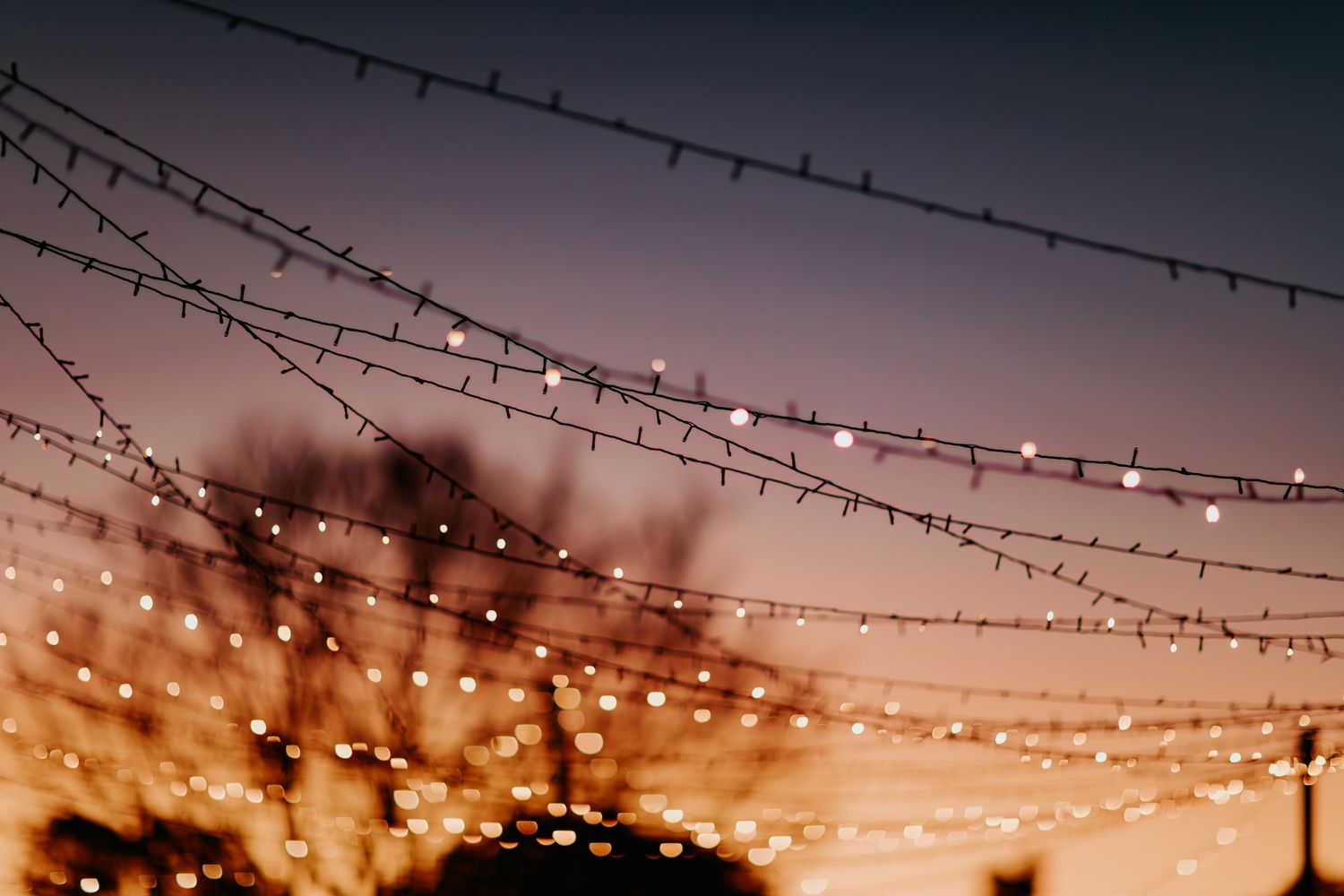 String lights create a magical glow against dusky evening sky.