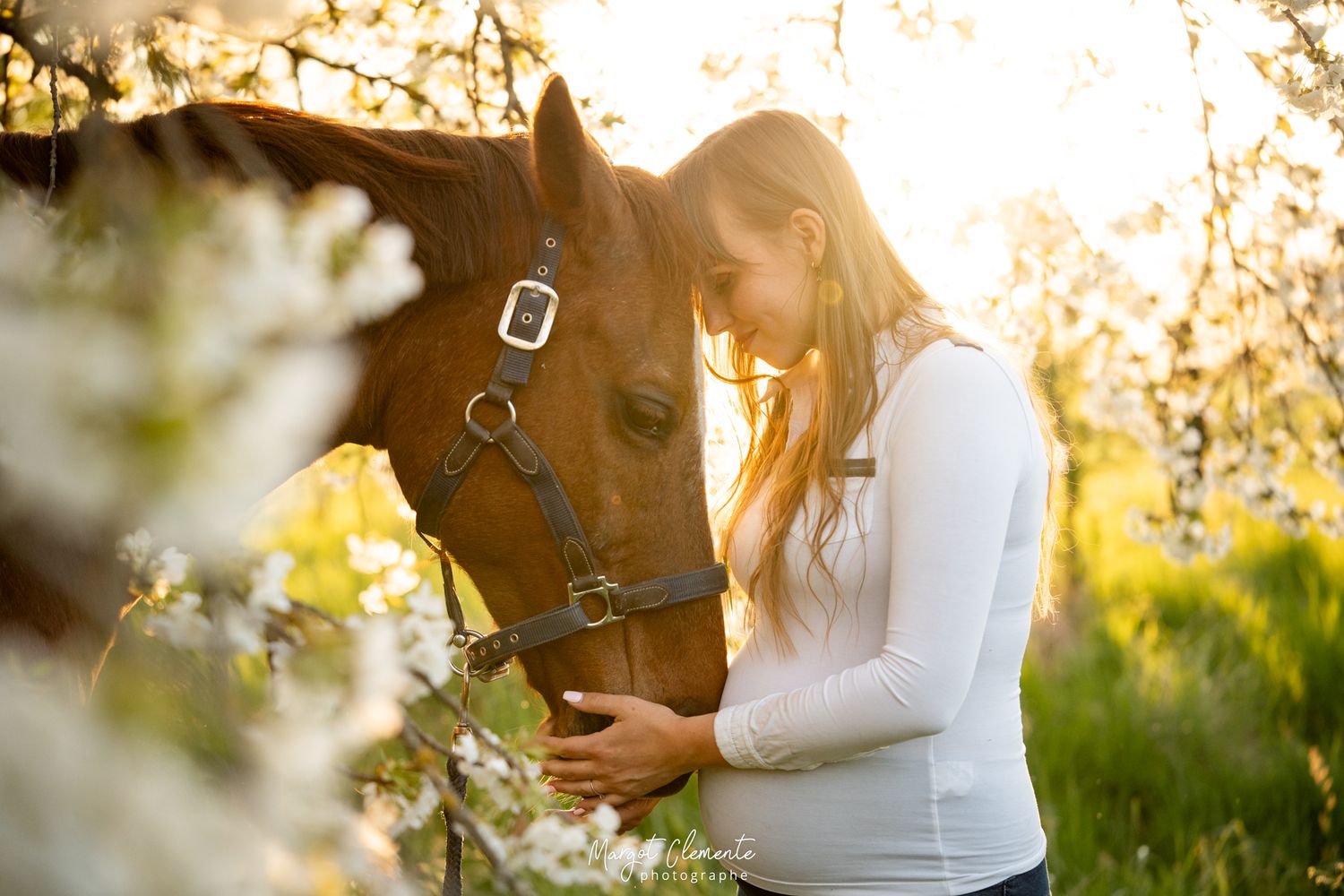 Séance photo grossesse cheval chien Alsace