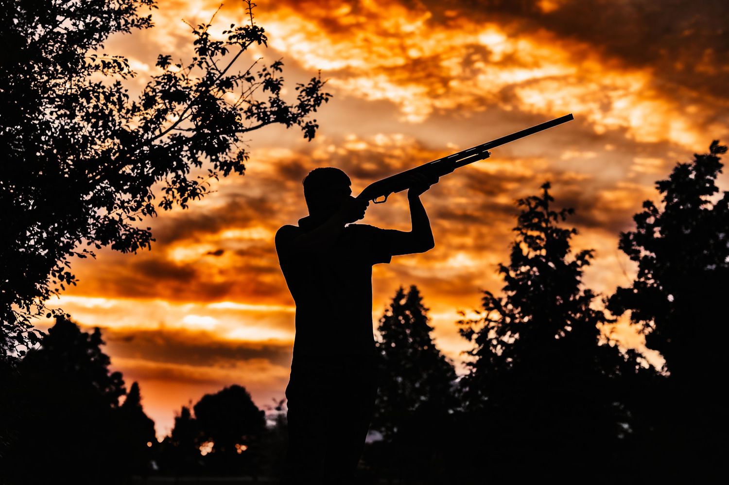 Silhouette of a hunter holding rifle at sunset with dramatic orange sky and tree outlines in background.