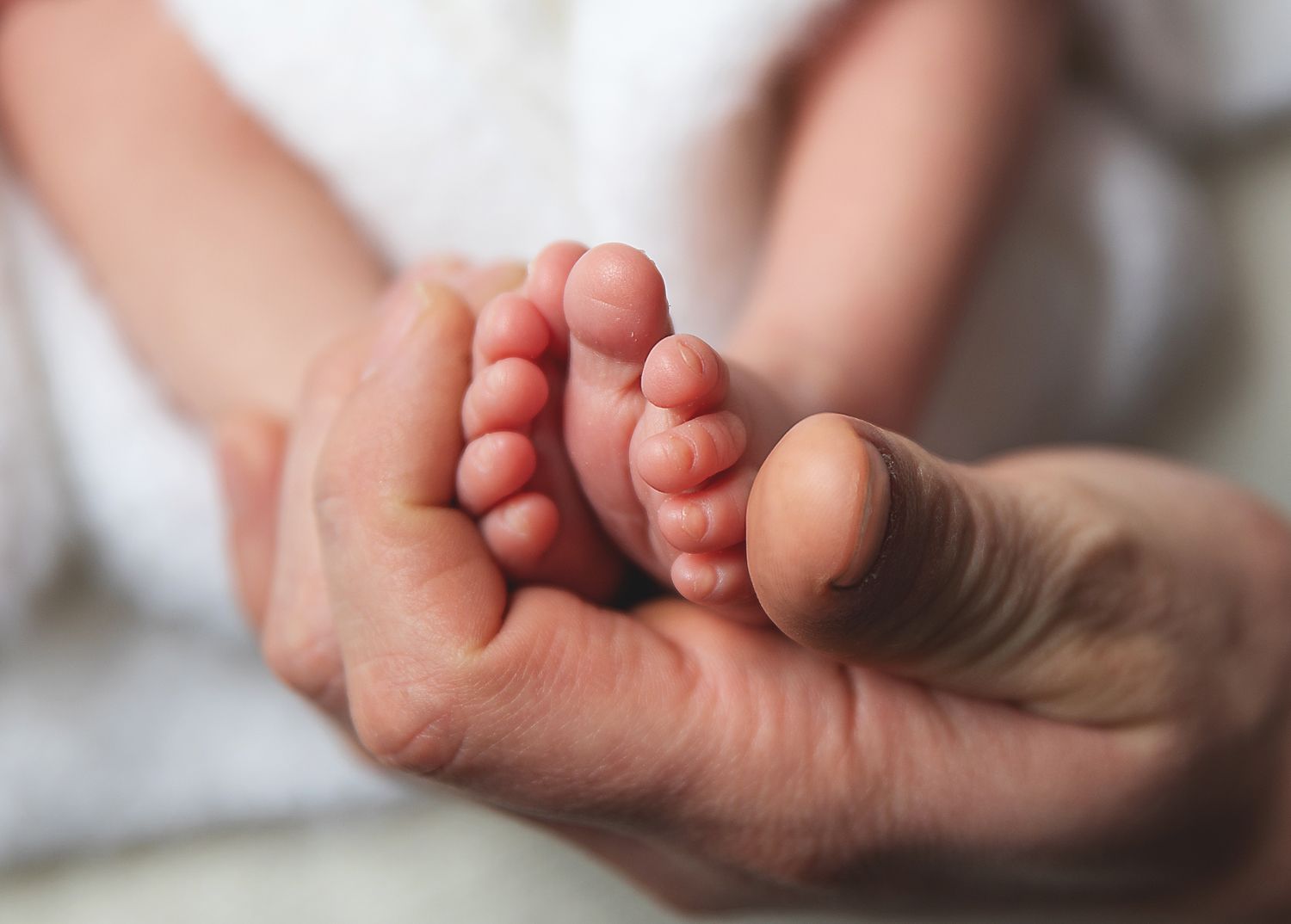 Close-up of tiny newborn baby feet being gently cradled in adult hands. during a newborn session in Sidcup