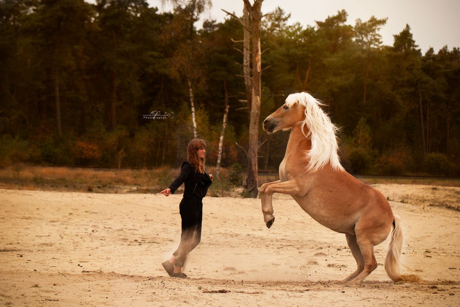 Romantische Paardenfotografie laat band zien tussen paard en baas in Gelderland