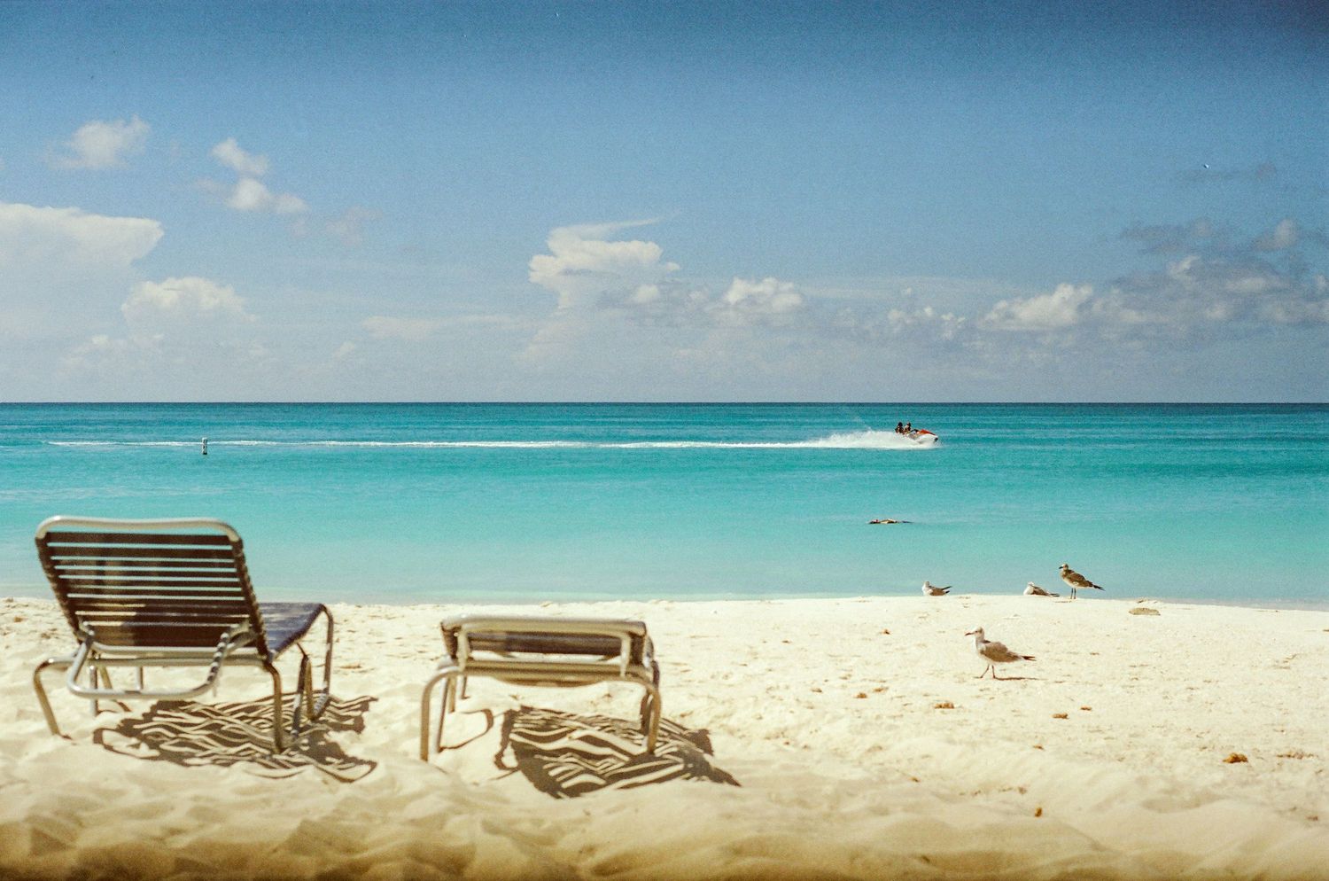 Two empty beach chairs on white sand beach with turquoise water and seagull.