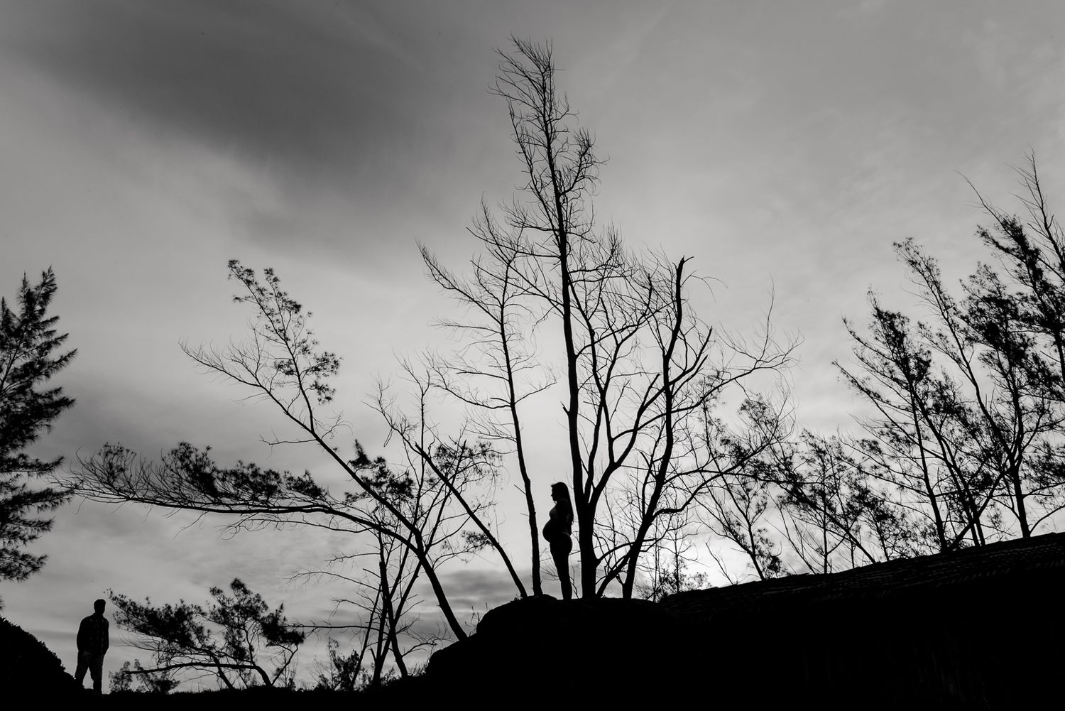 Stark black and white silhouettes of bare tree branches against a moody sky.