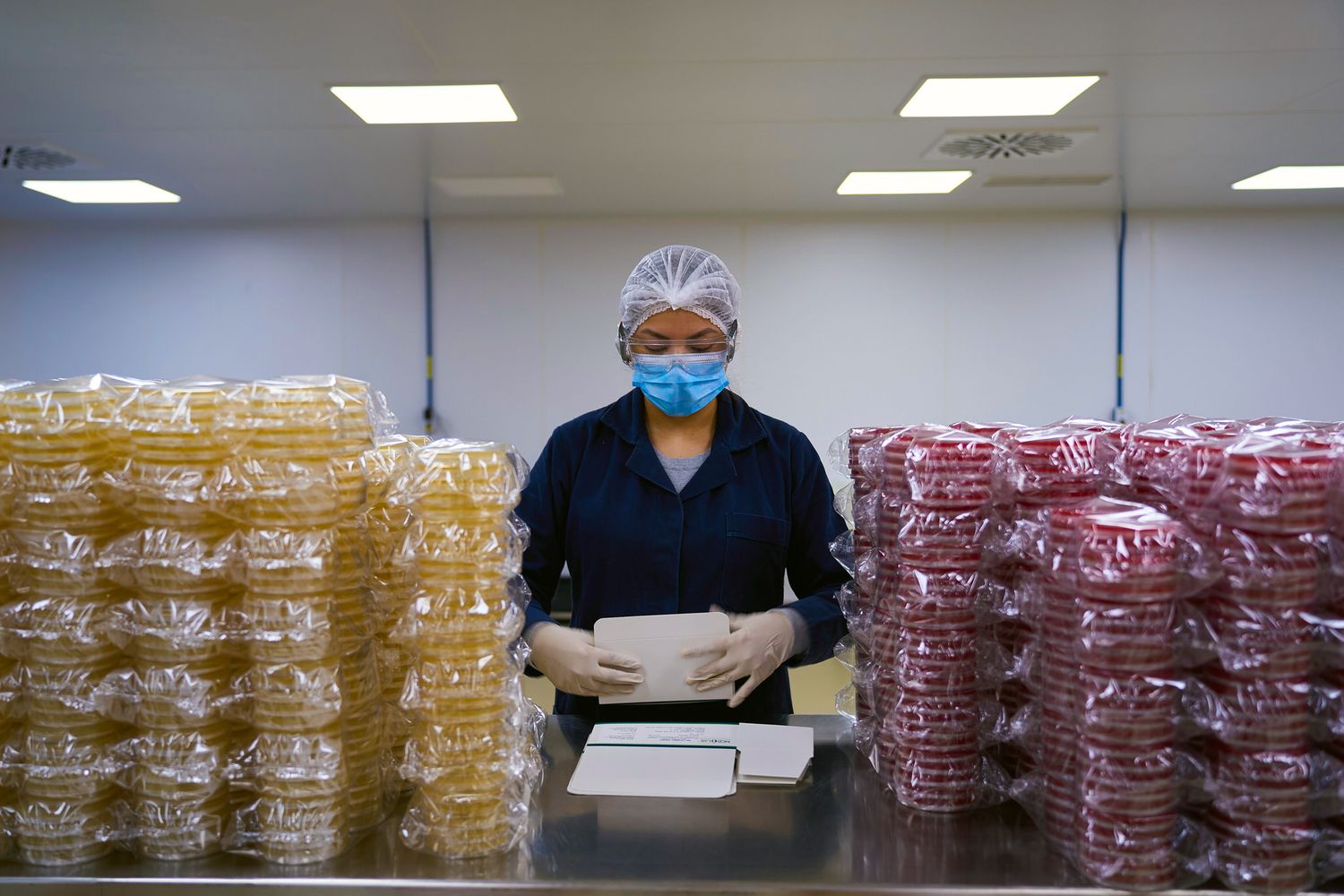 Operaria en planta química preparando cajas junto a medios de cultivo en proceso de empaque