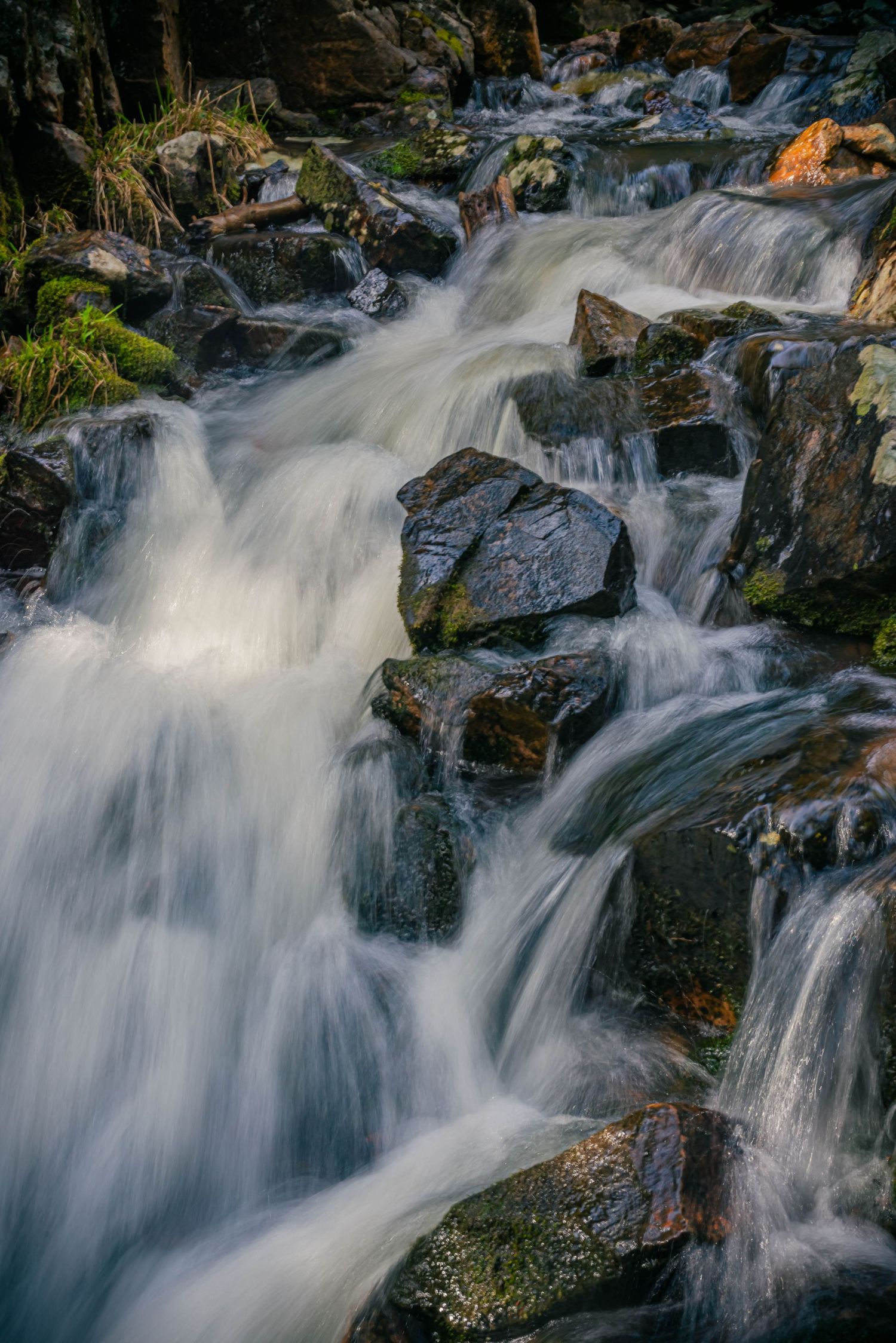 A long exposure photograph of a cascading mountain stream flowing over dark moss-covered rocks.