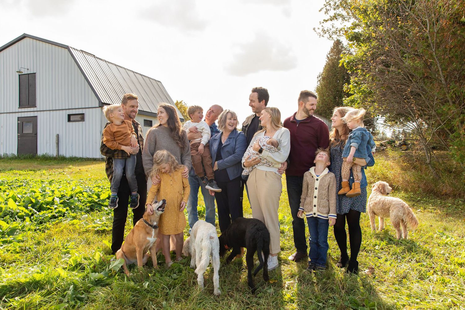 Large family group all looking at one another with 3 large dogs around the group