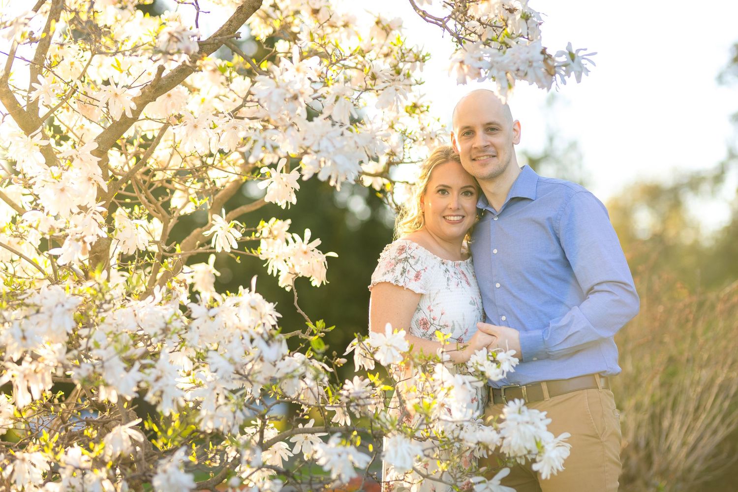 A couple poses intimately among blooming cherry blossom trees at sunset during a springtime engagement photoshoot. Ottawa Photographer