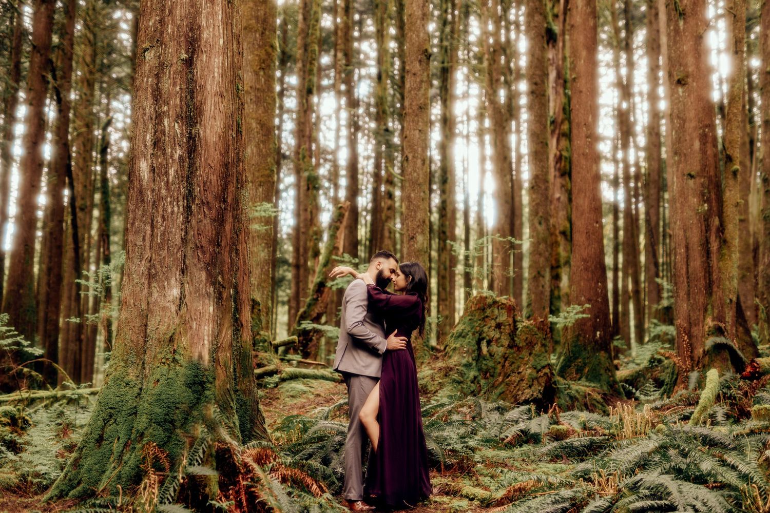 Two figures in dark clothing embrace among towering redwood trees and lush green forest ferns on a misty day.