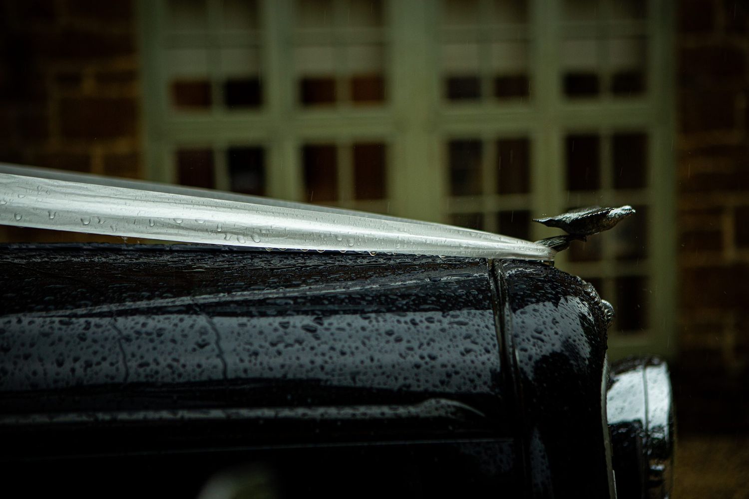 Water drips from the edge of a black car roof in Halifax during rainfall with a blurred building in the background for Nova Scotia wedding.