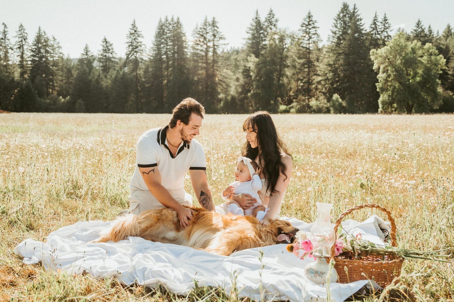 A picnic scene in a sunny meadow with evergreen trees in the background.