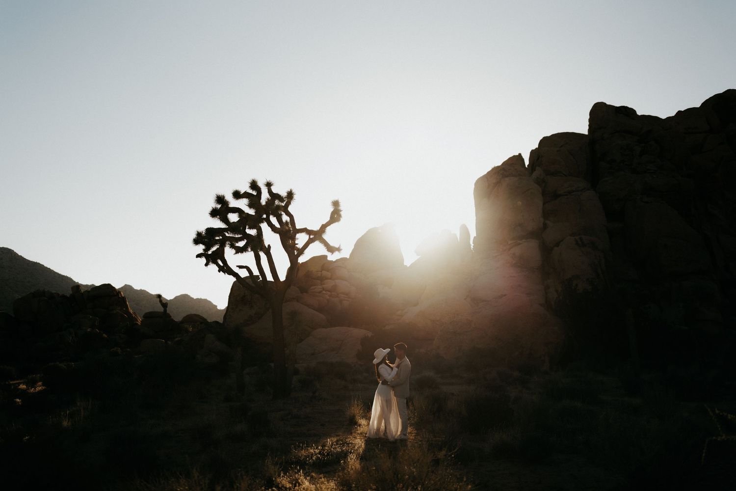 Silhouette of couple standing among joshua trees at sunset in desert landscape.
