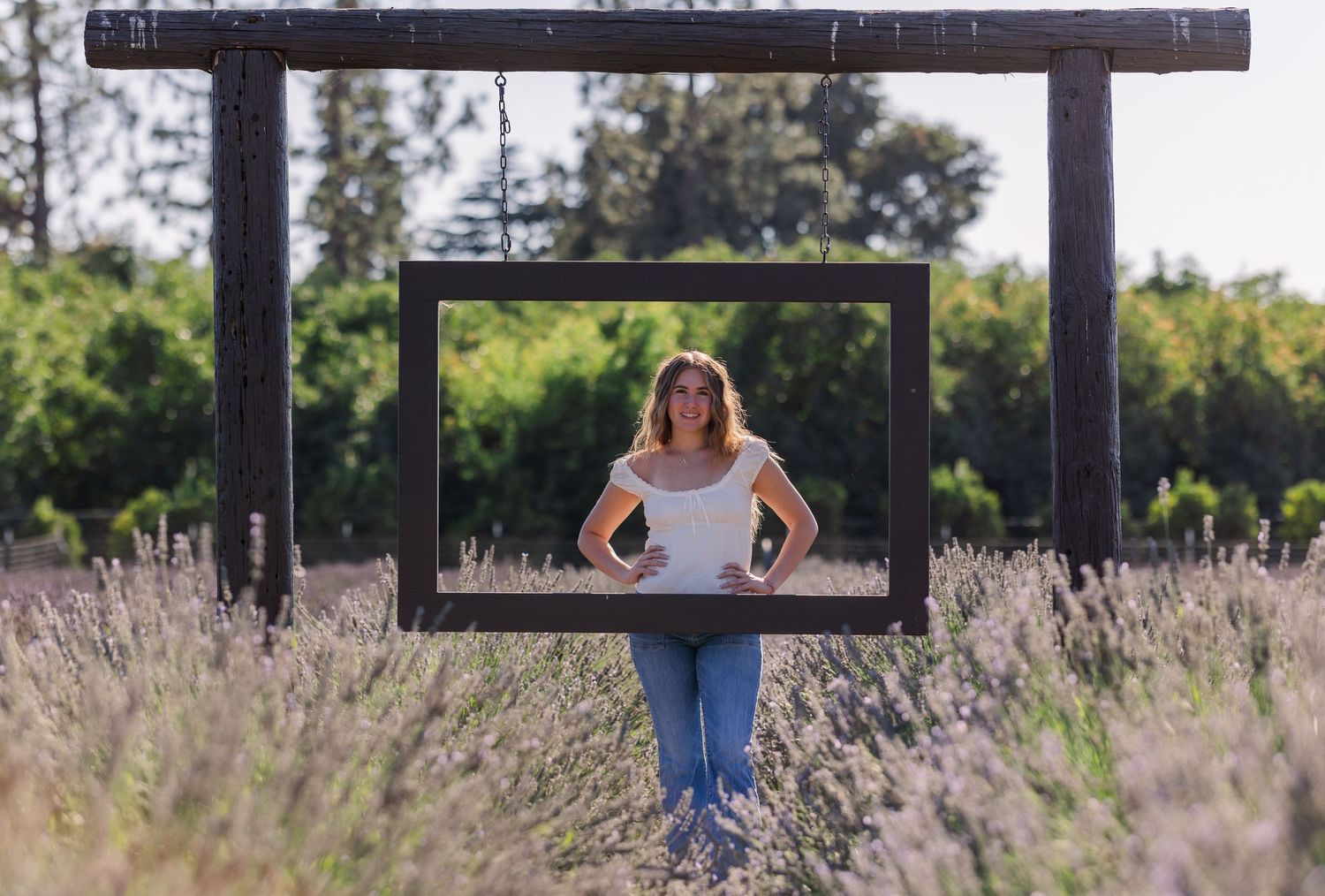 Creative portrait through a wooden frame in a lavender field with mountains in the background.