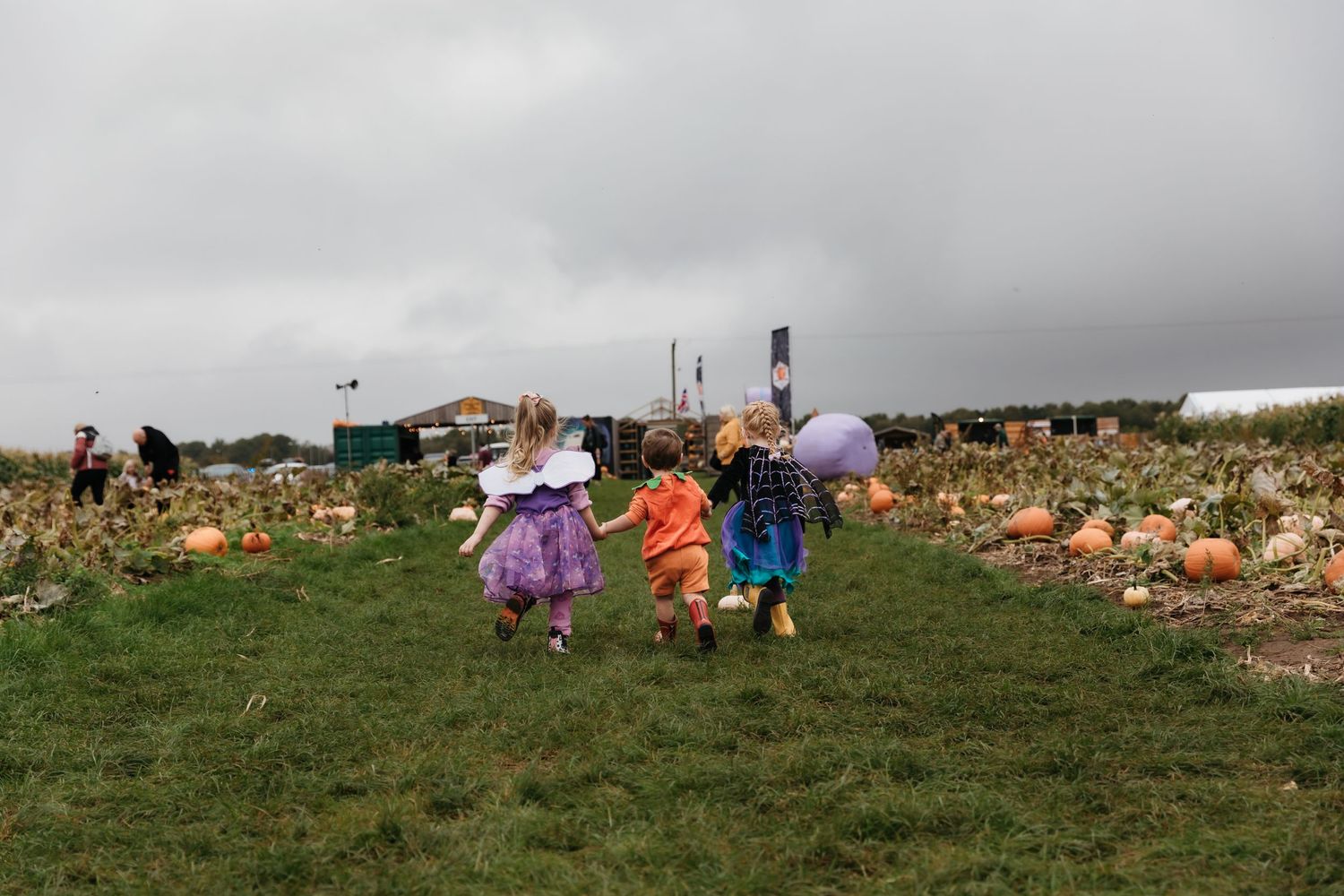 Children in colourful raincoats running through a pumpkin patch on a cloudy autumn day. Photographer. Hull. East Yorkshire. Photography