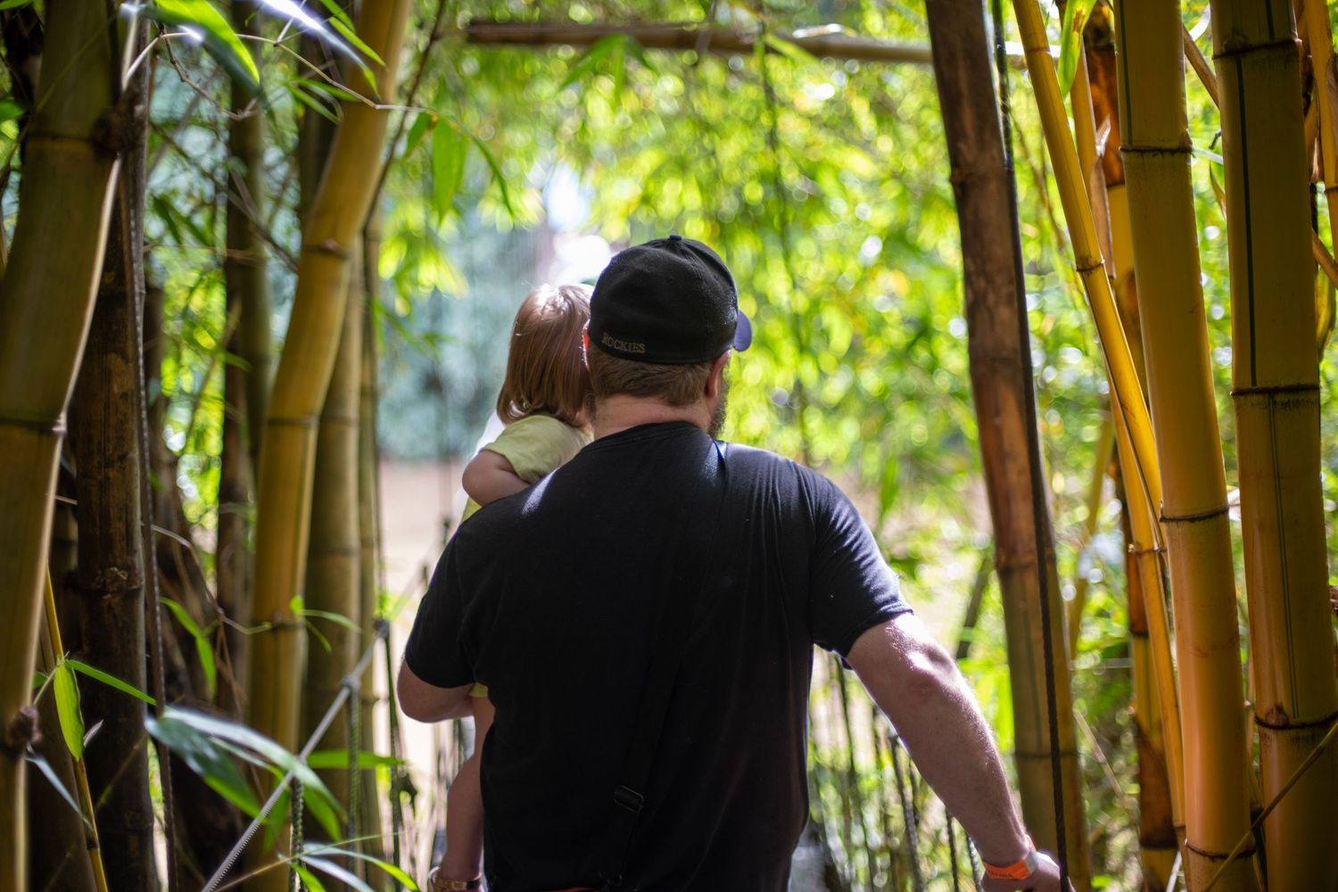 Man in black cap carrying a child through a lush bamboo forest garden path.