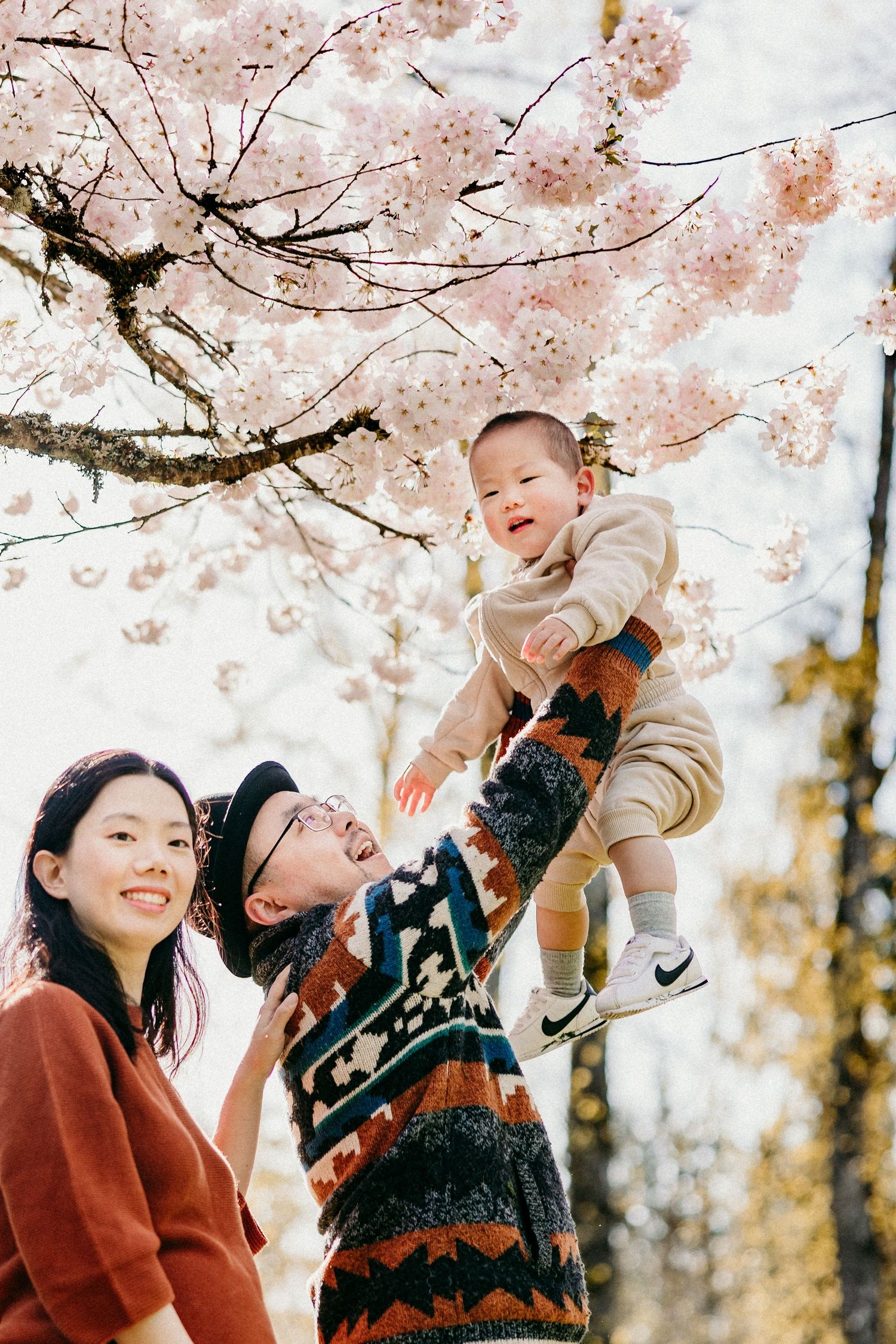 Joyful Asian family lifting laughing baby under blooming cherry blossom tree in spring park.