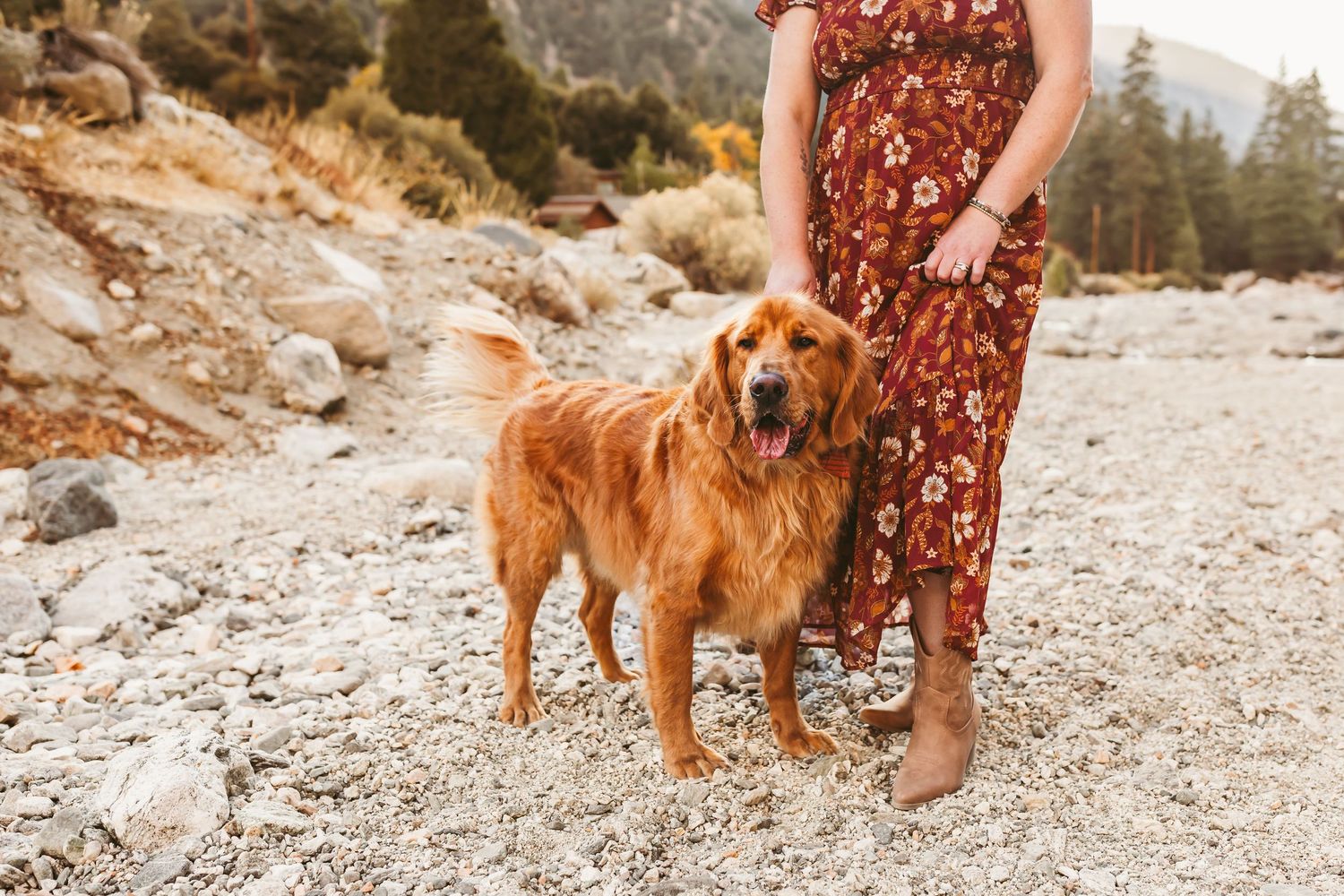A golden retriever dog poses with someone in a floral dress on a rocky mountain trail at sunset.