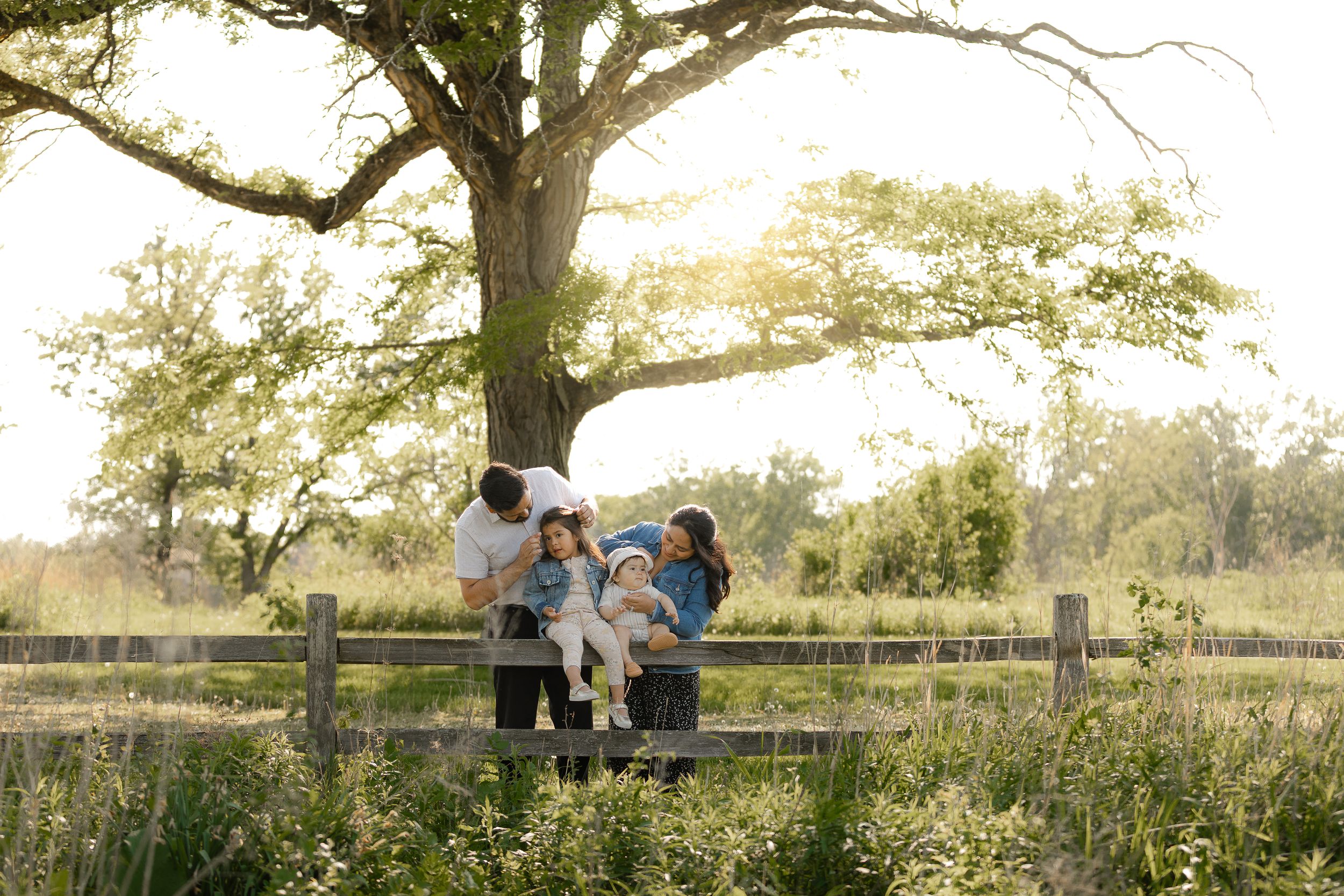 A family enjoys a relaxed sunset photography session under a sprawling oak tree in a rustic field.
