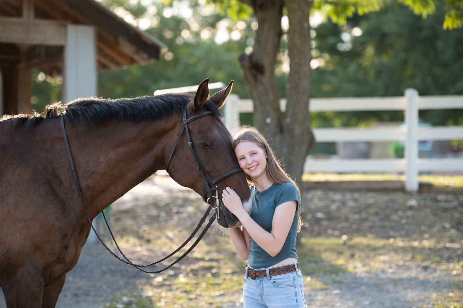 Several casual photos show people interacting with a large brown horse in an outdoor setting.