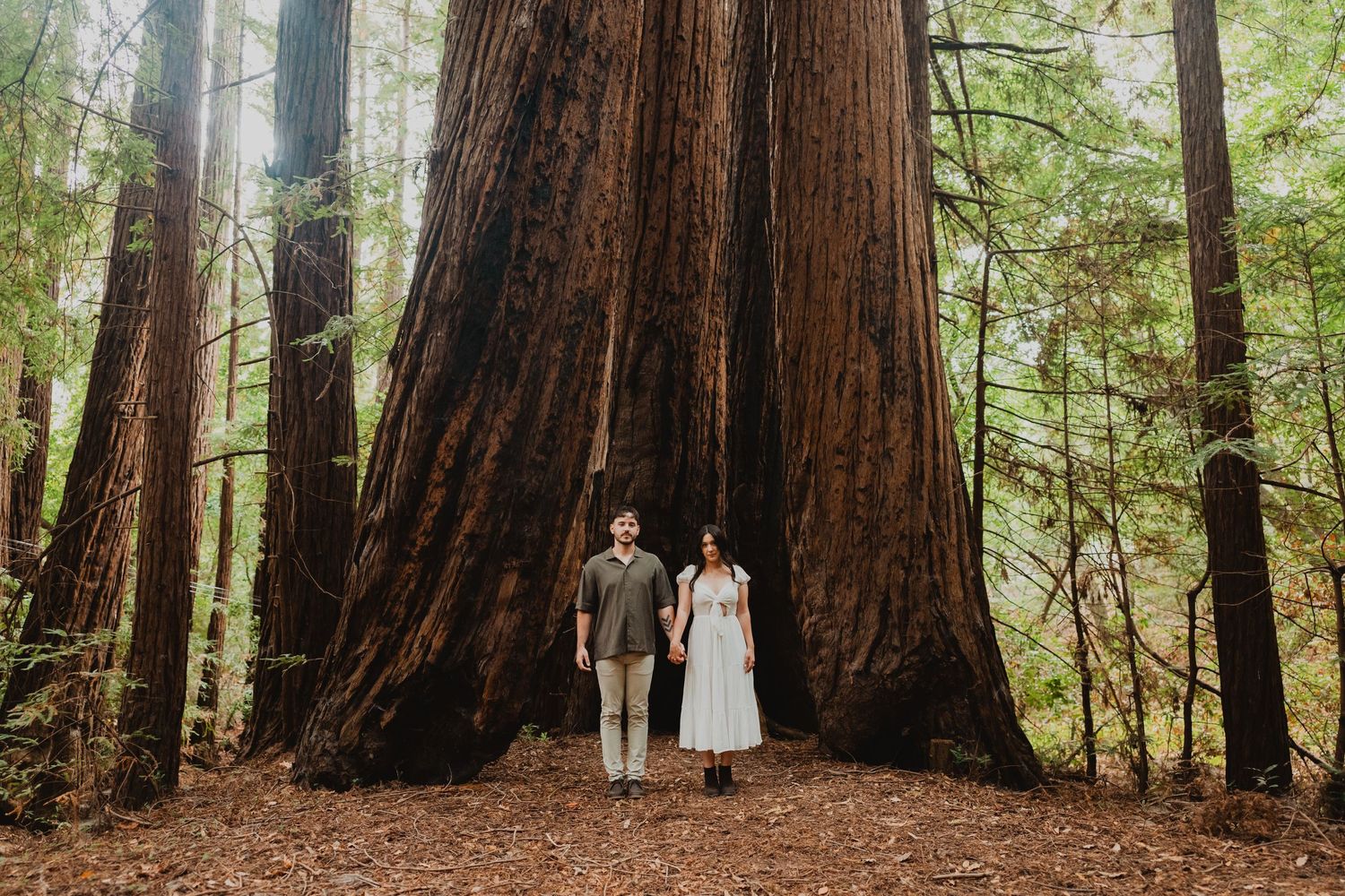 redwood Engagement Photo Outfits Tips