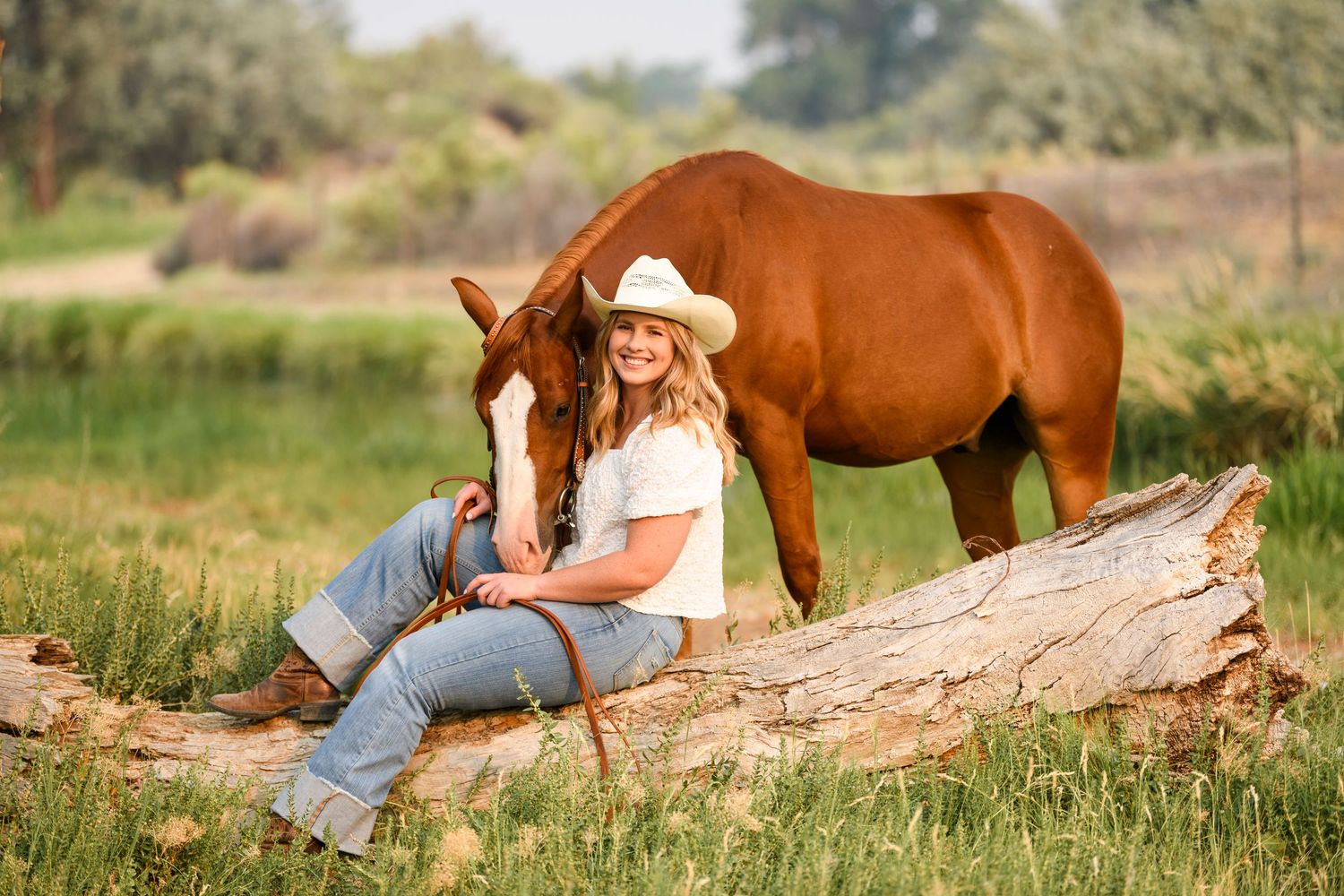 A tender moment with a resting horse in a tranquil meadow during golden hour as soft light illuminates the peaceful scene.