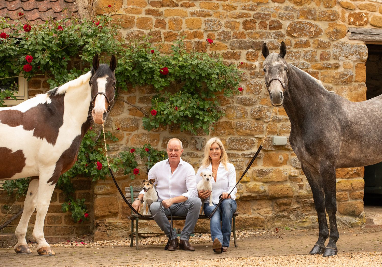 A person leads a palomino horse along a sunlit forest trail surrounded by tall evergreen trees.