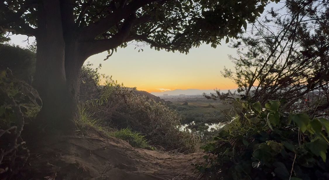 A scenic coastal hiking trail with vibrant greenery leads towards a golden sunset over the ocean horizon.