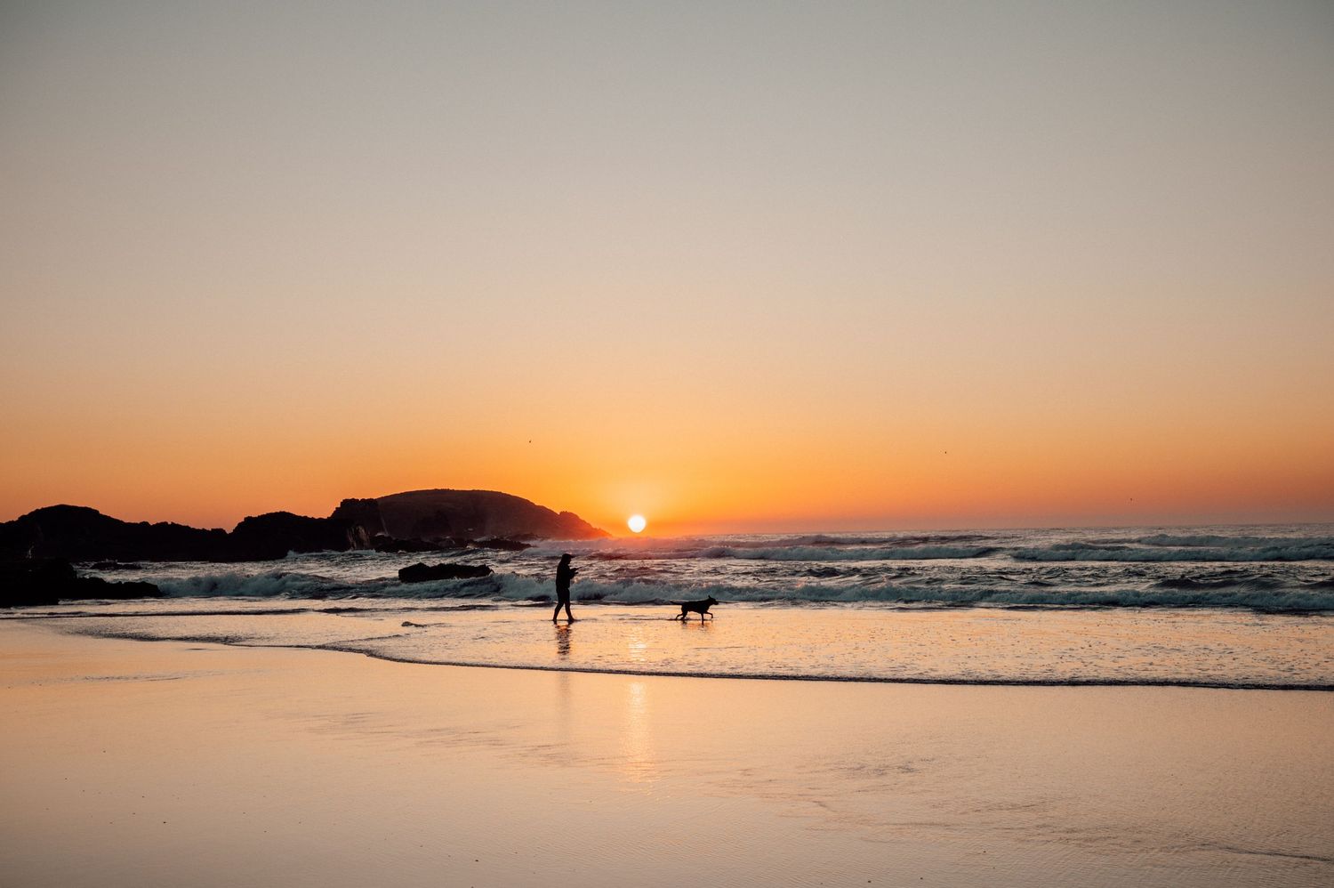 Person walking dog on beach at sunset with golden sky and ocean waves reflecting warm light.