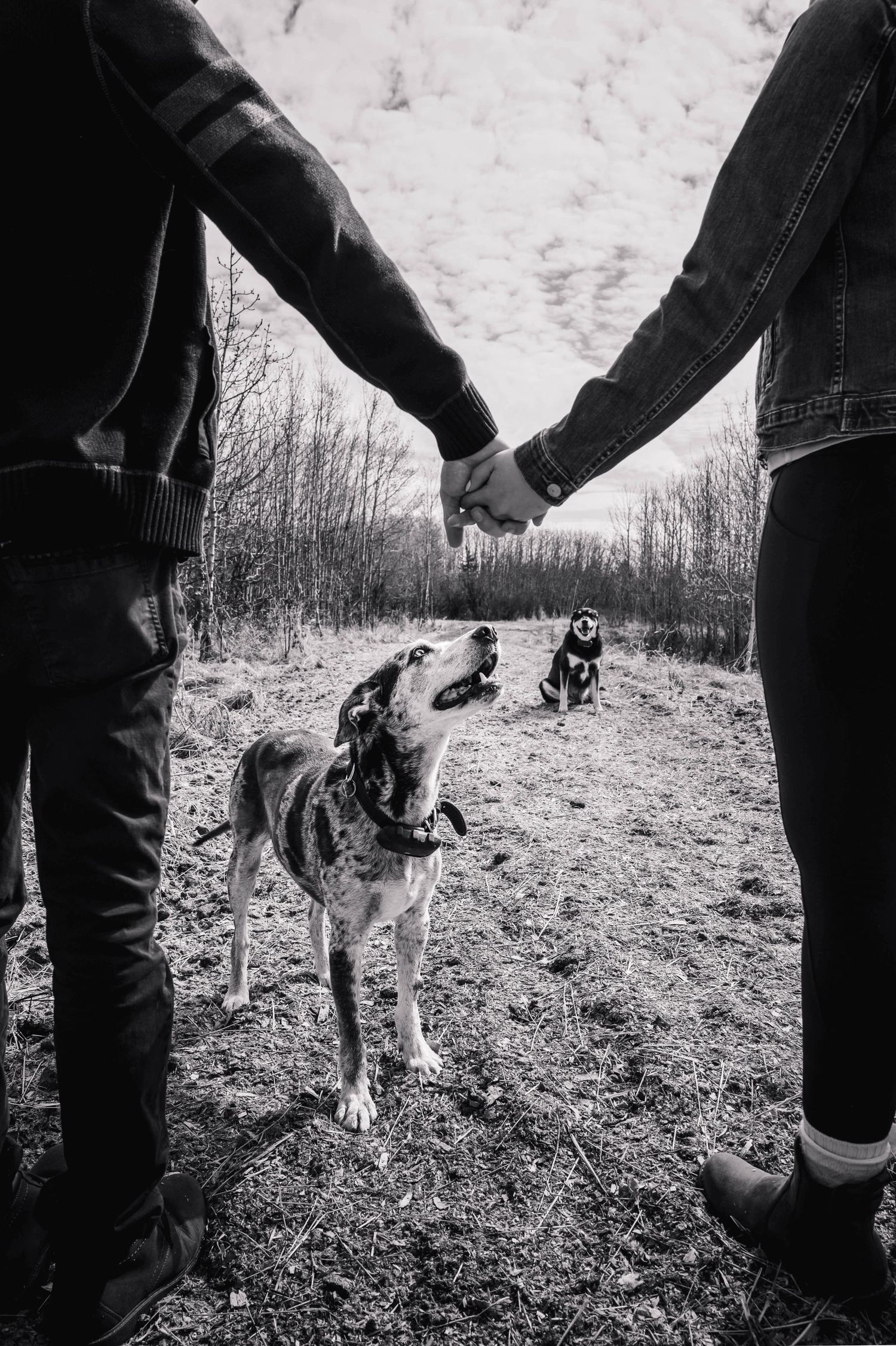An engagement session in Calgary, Alberta at Glenmore Reservoir.