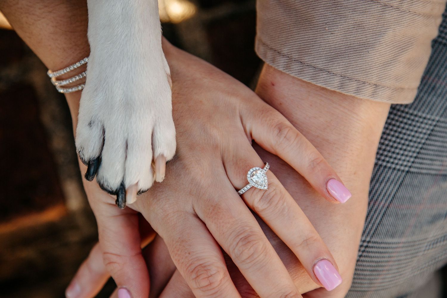 Close-up of a woman's hand wearing a heart-shaped diamond engagement ring beside a dog's paw.
