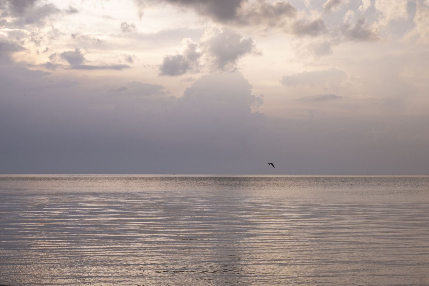 Panoramic view of a tranquil ocean horizon with dramatic cloudy skies during sunset.