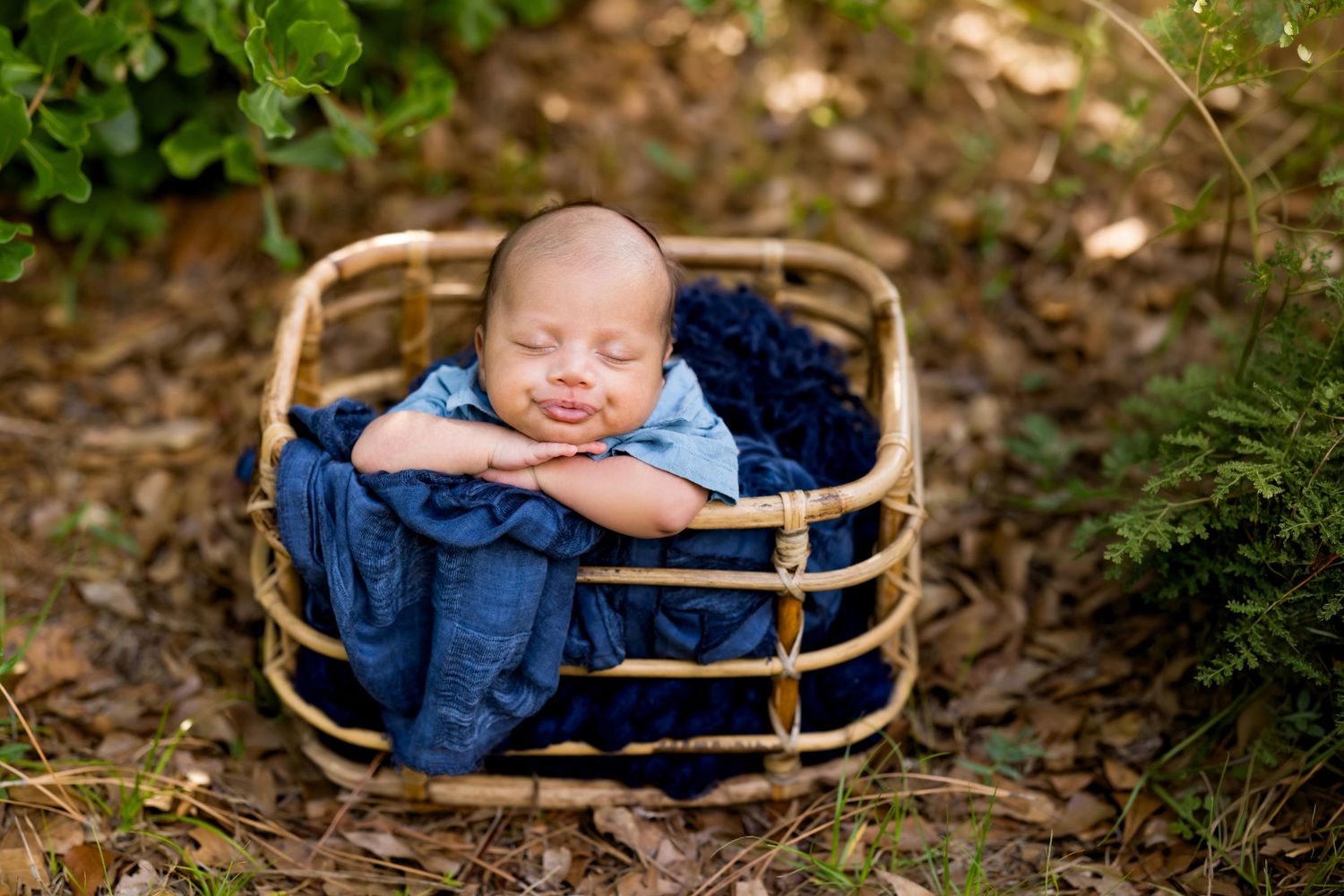 Sleeping newborn baby in blue outfit resting in a wicker basket outdoors surrounded by greenery.