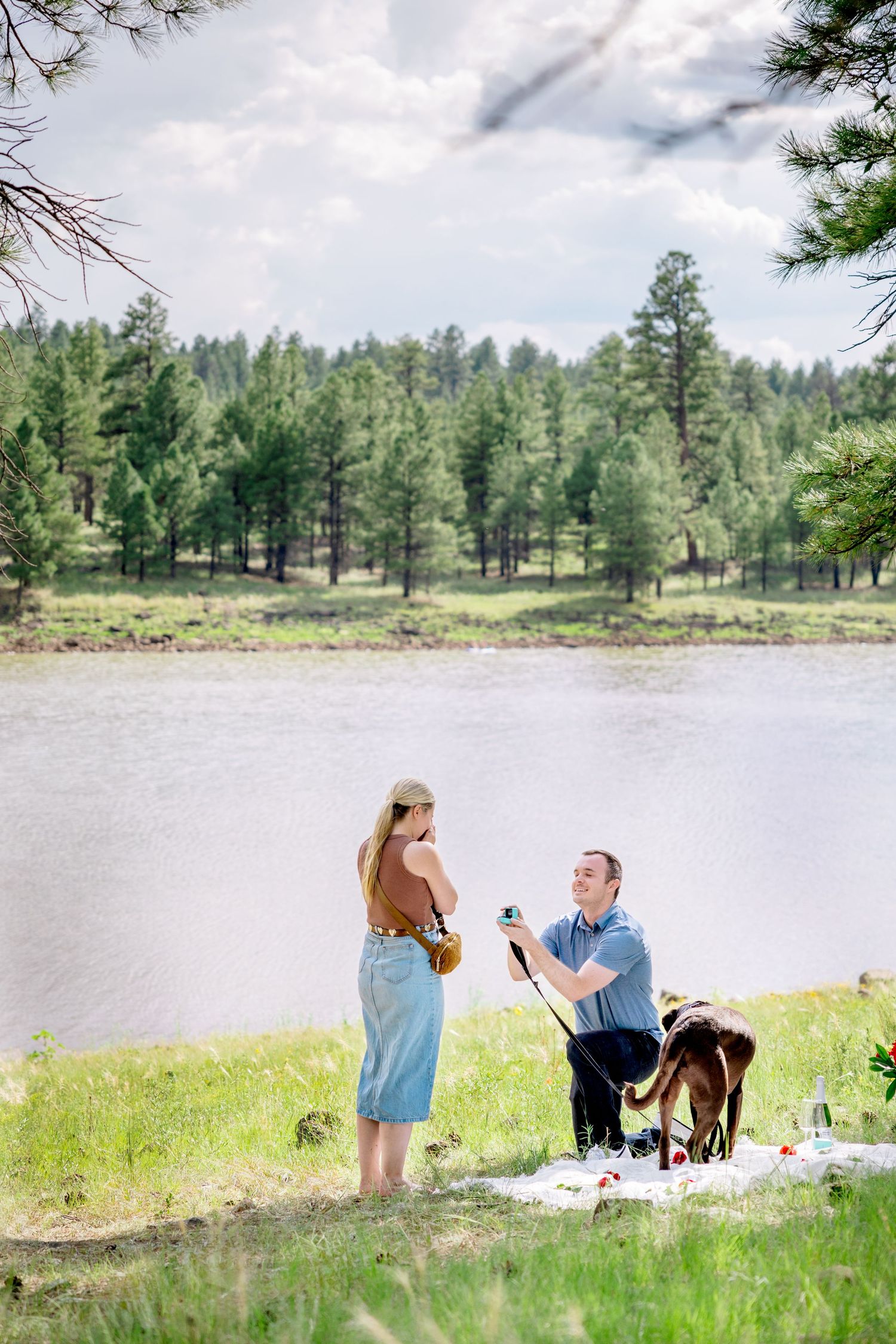 Lakeside proposal scene with pine forest backdrop and dog present.