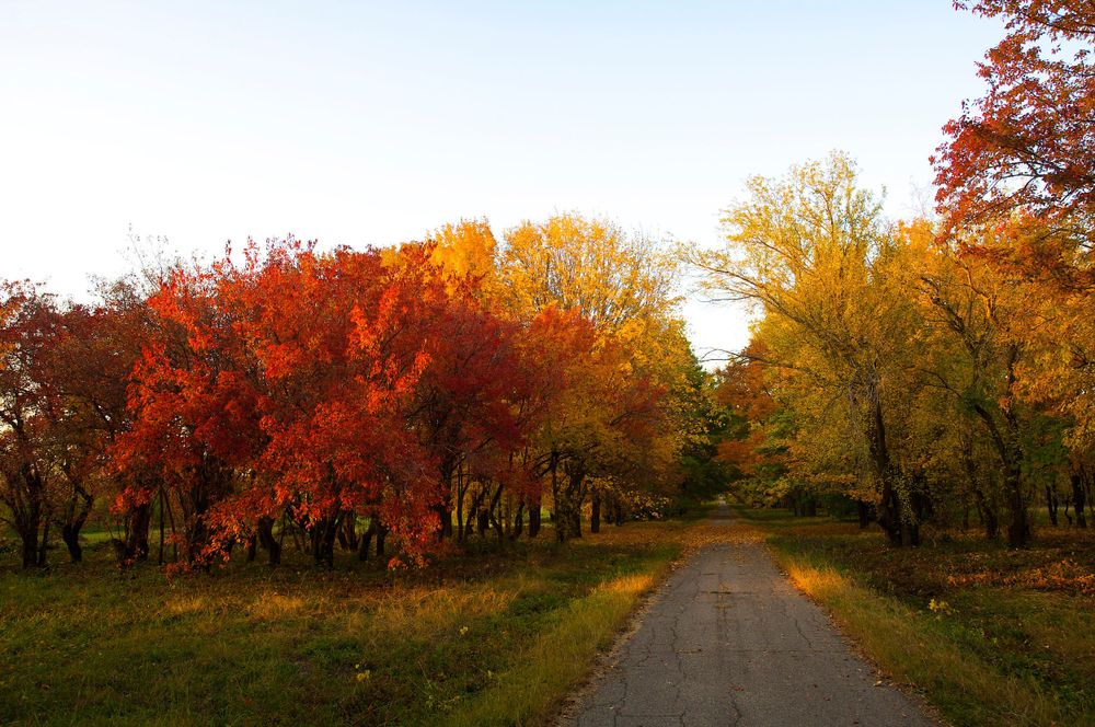 Style Tips: Fall Photo Session - Hey Darlin' Photography