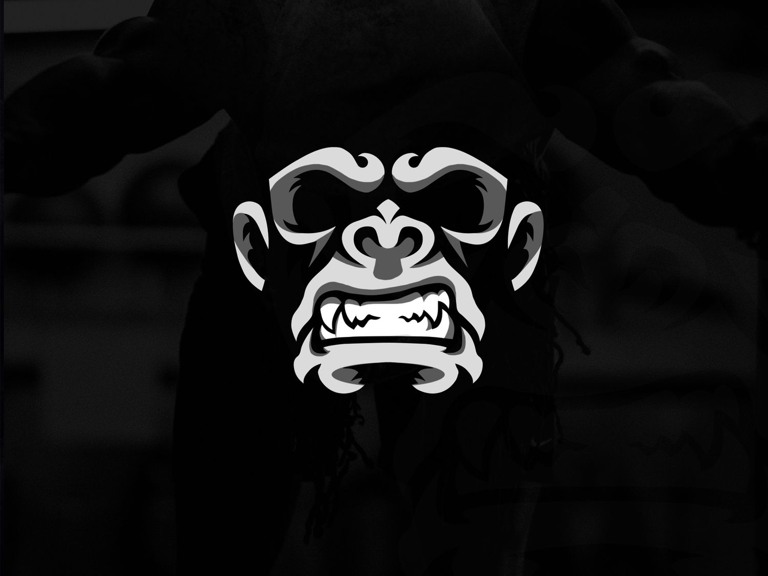 fotolilly photography blog about Gorilla carts with photos and videos from a photographers perspective